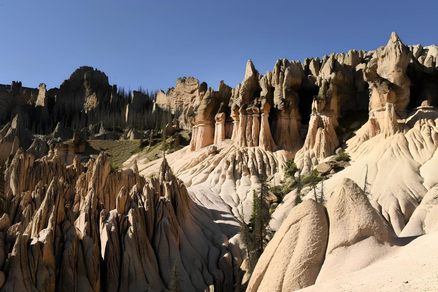 secrets-beneath-colorados-wheeler