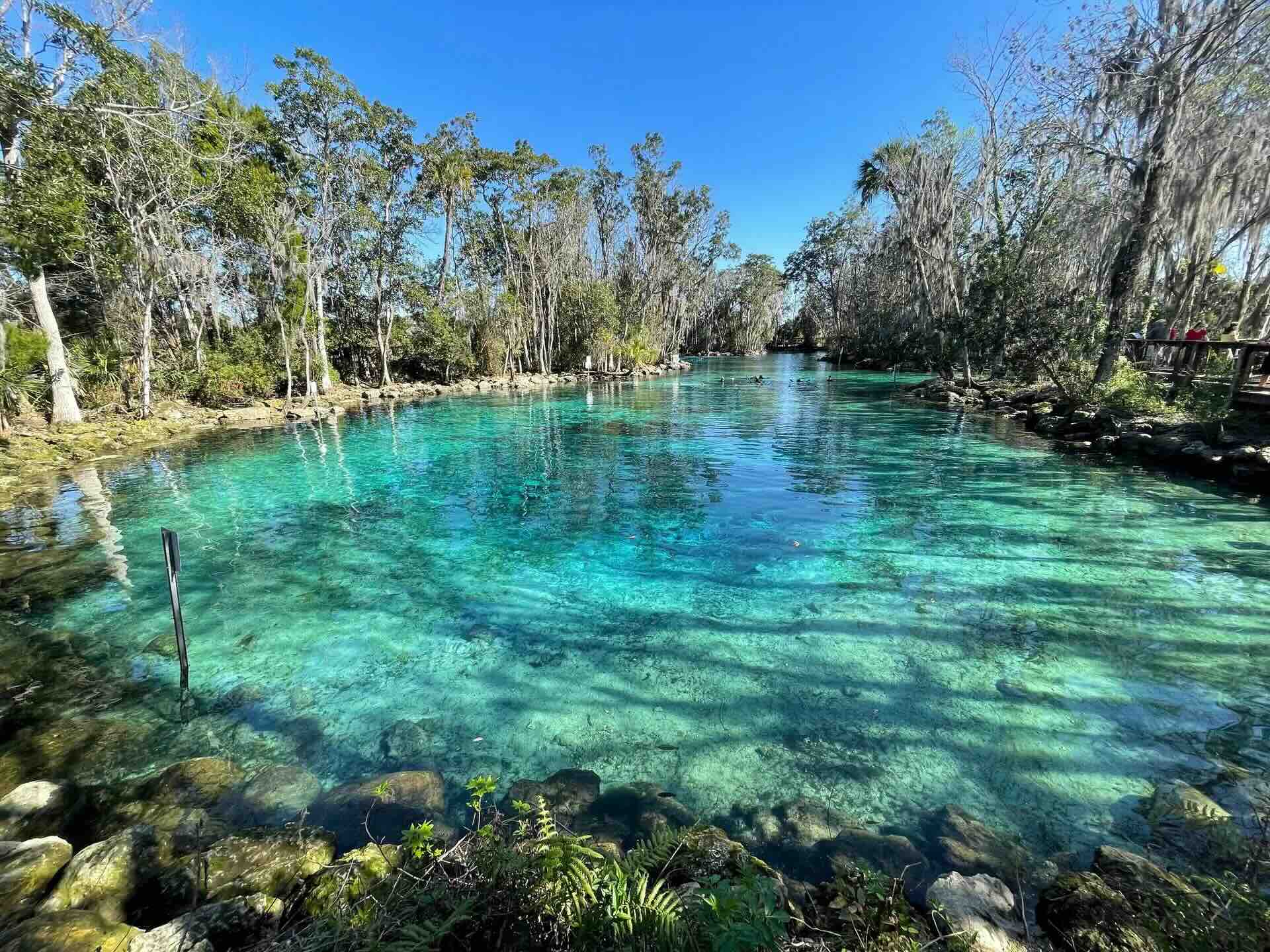 secrets-beneath-floridas-crystal-river
