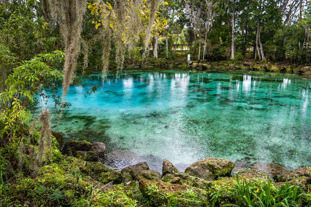 secrets-beneath-floridas-crystal-river-springs
