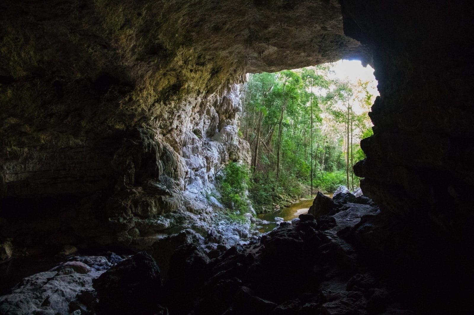 Secrets-Beneath-Jenny-Jump8217s-Caves secrets-beneath-jenny-jumps-caves