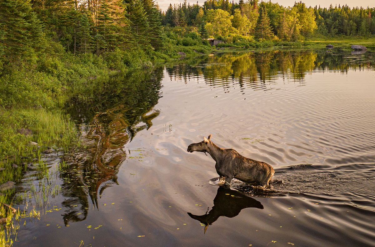 Secrets-Beneath-Maine8217s-Moosehead-Lake secrets-beneath-maines-moosehead-lake