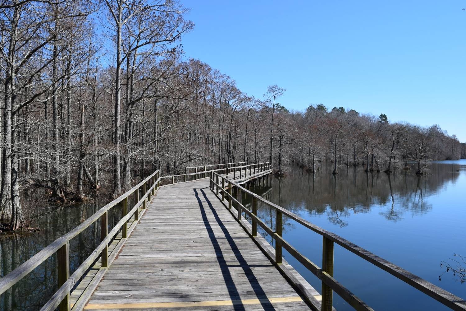Secrets-Beneath-Mississippi8217s-Wall-Doxey-Waters secrets-beneath-mississippis-wall-doxey-waters