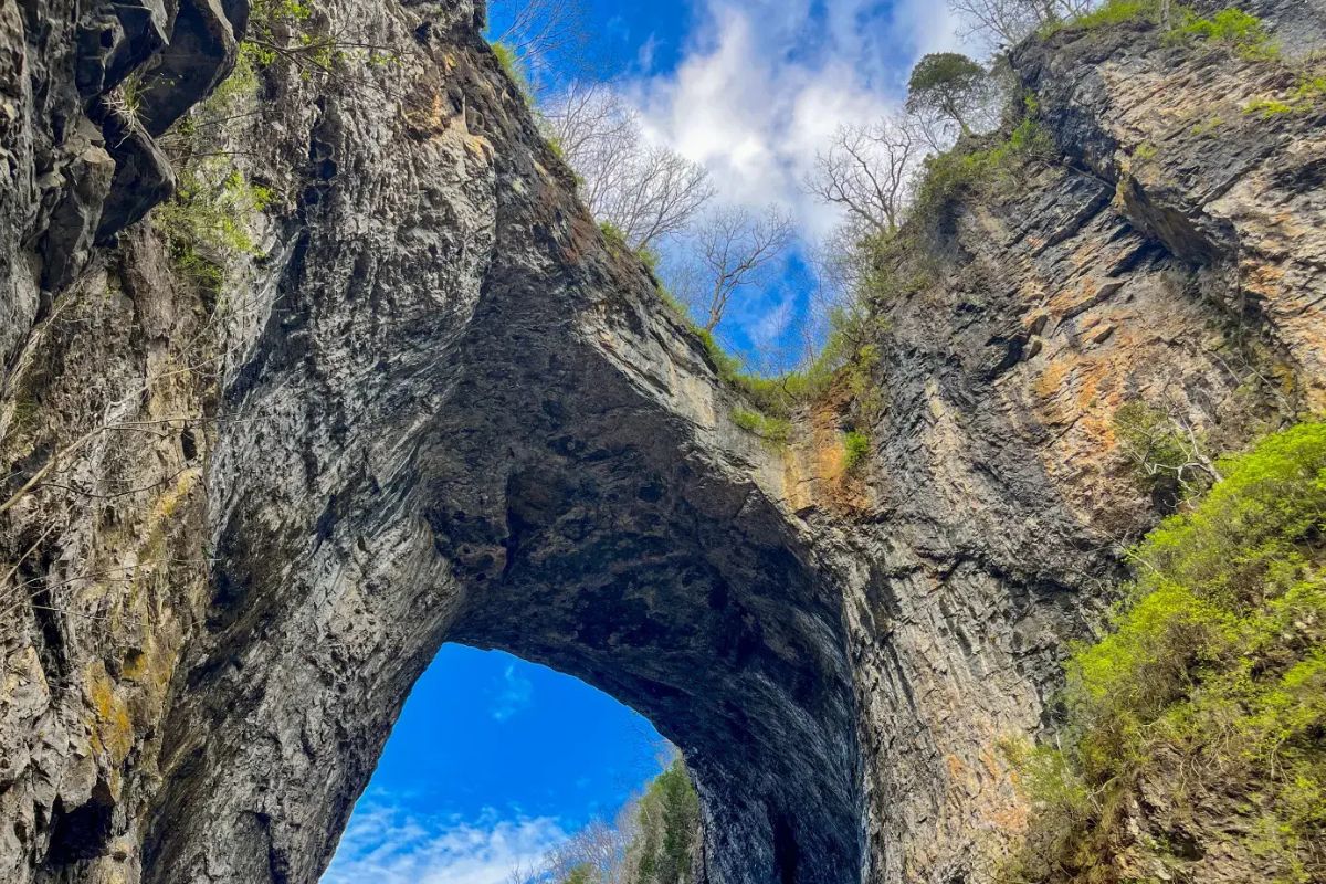 Secrets-Beneath-Virginia8217s-Natural-Bridge secrets-beneath-virginias-natural-bridge