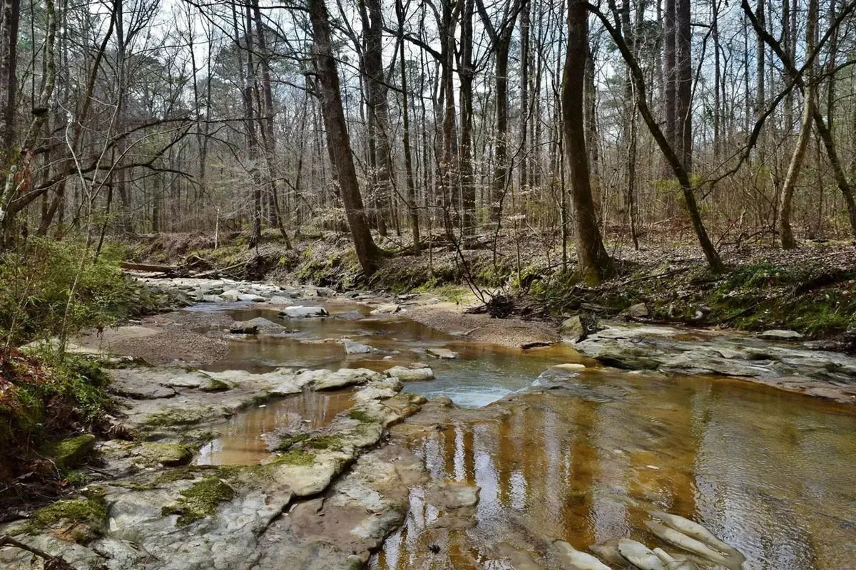 secrets-hidden-in-louisianas-sicily-island
