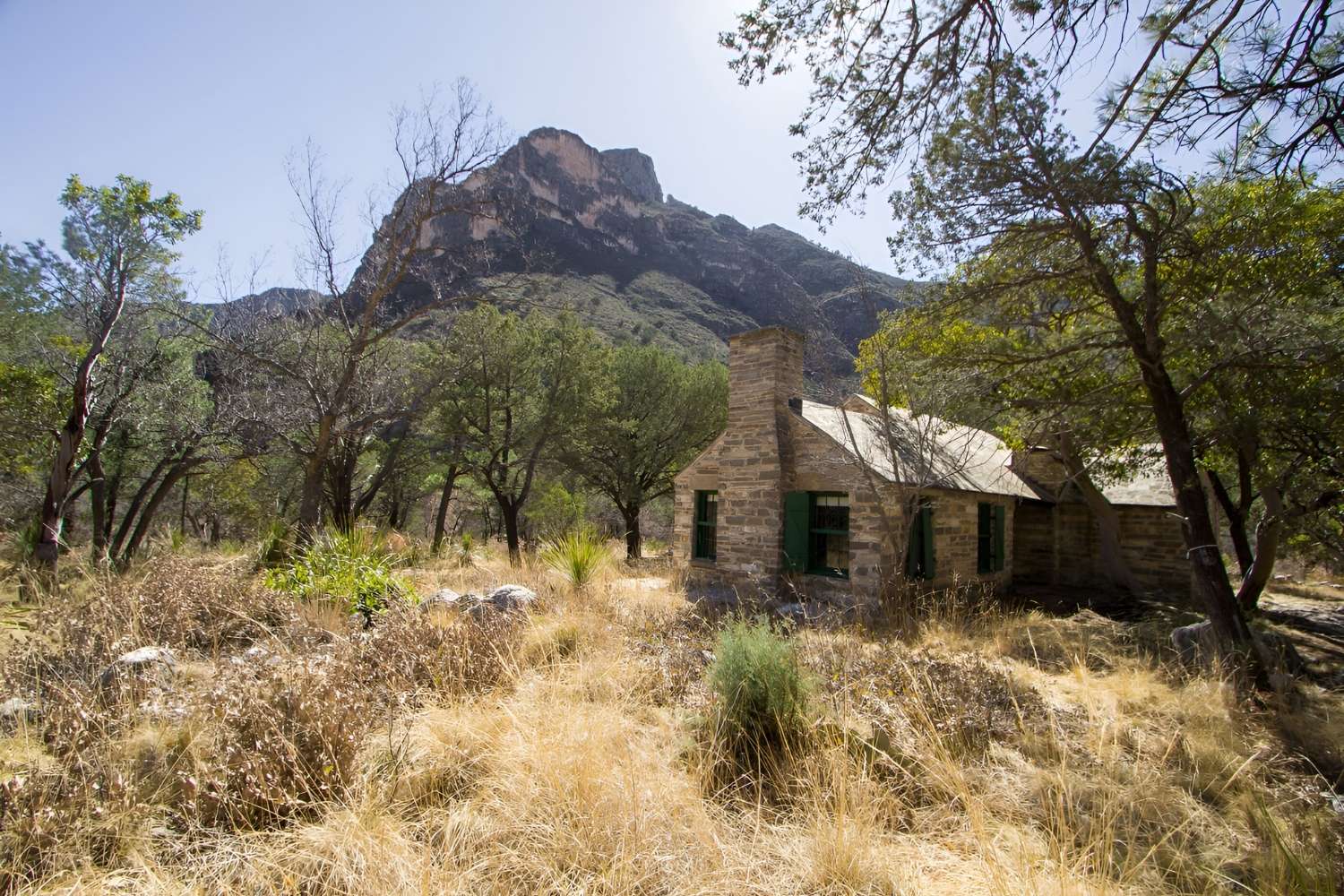 Secrets-Lurking-In-Texas8217-McKittrick-Canyon secrets-lurking-in-texas-mckittrick-canyon