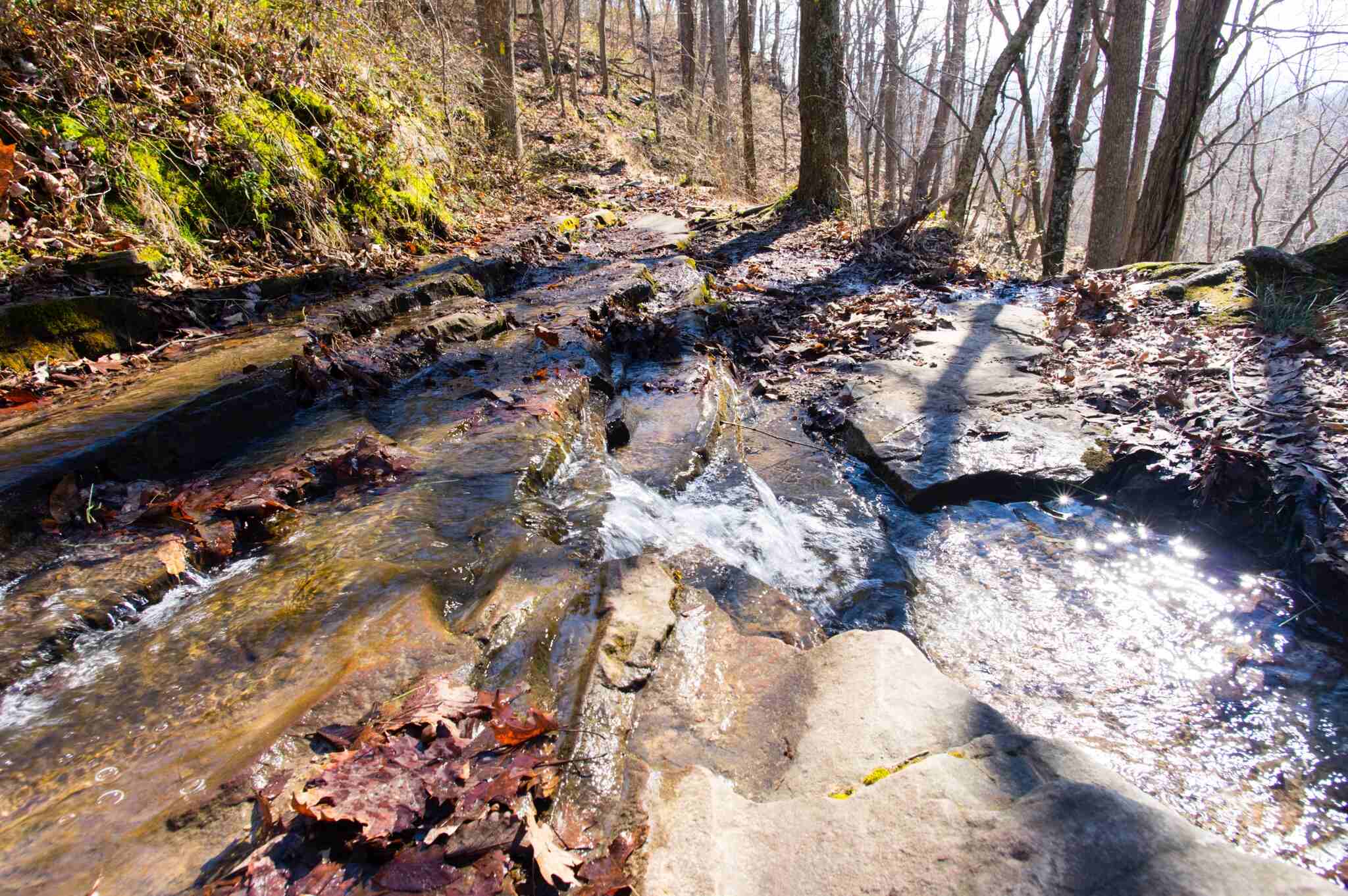 secrets-of-alabamas-monte-sano-trails