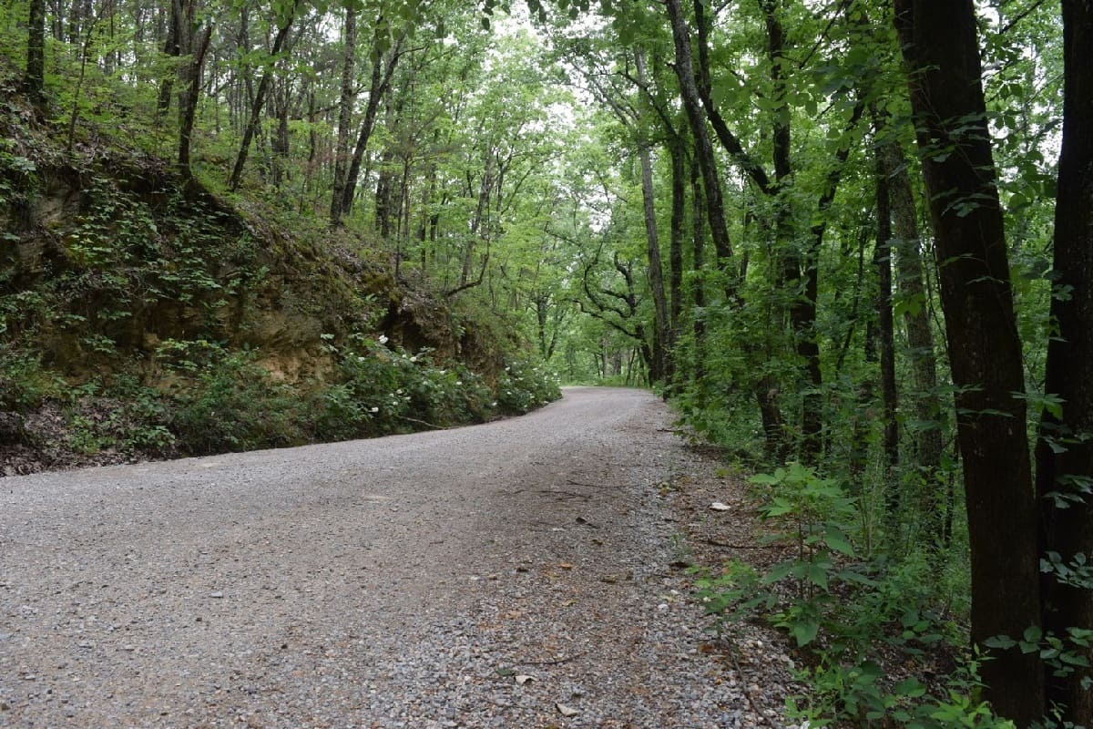 Secrets-Of-Alabama8217s-Talladega-Trails secrets-of-alabamas-talladega-trails