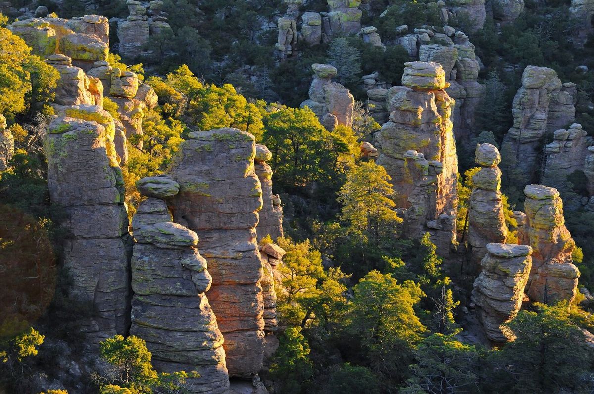 Secrets-Of-Arizona8217s-Chiricahua secrets-of-arizonas-chiricahua