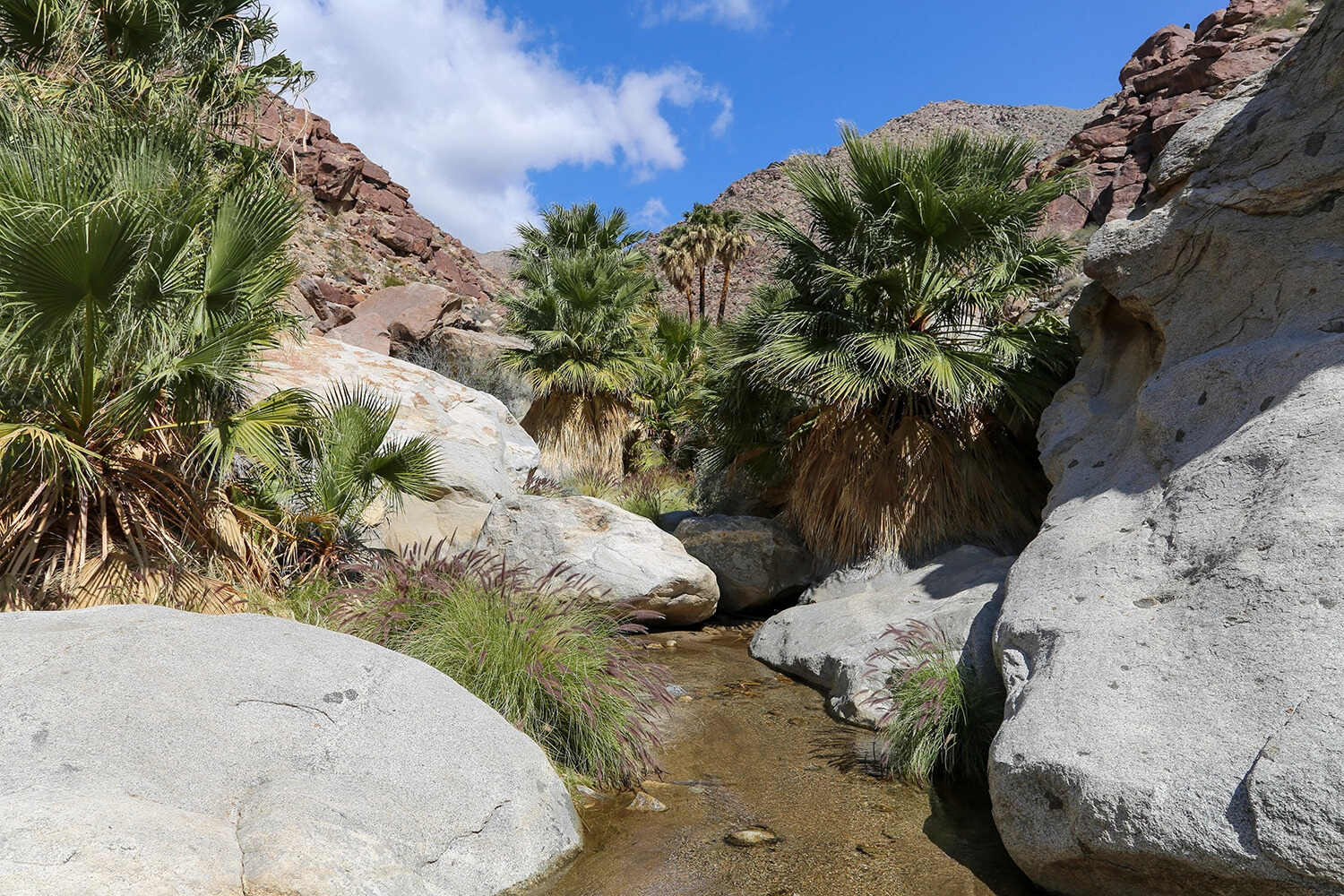 Secrets-Of-California8217s-Anza-Borrego-Springs secrets-of-californias-anza-borrego-springs