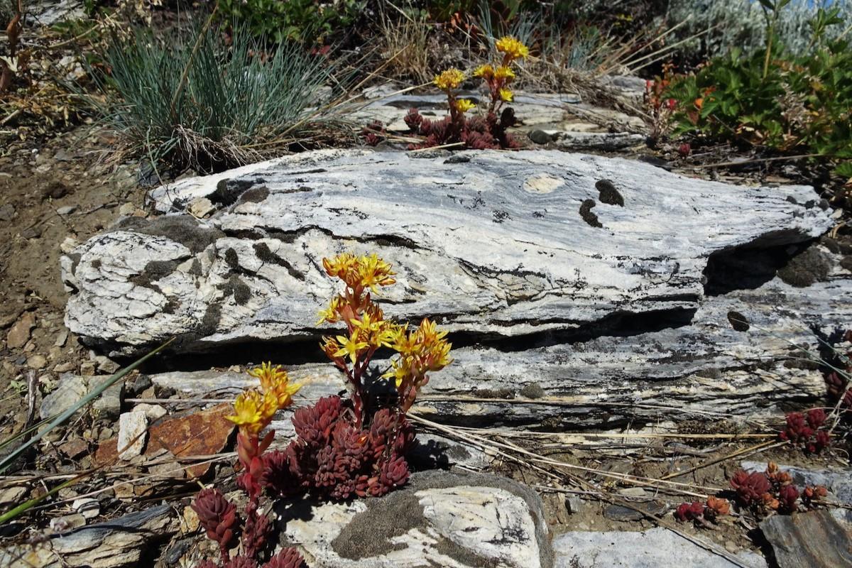 Secrets-Of-California8217s-Marble-Mountain-Caves secrets-of-californias-marble-mountain-caves