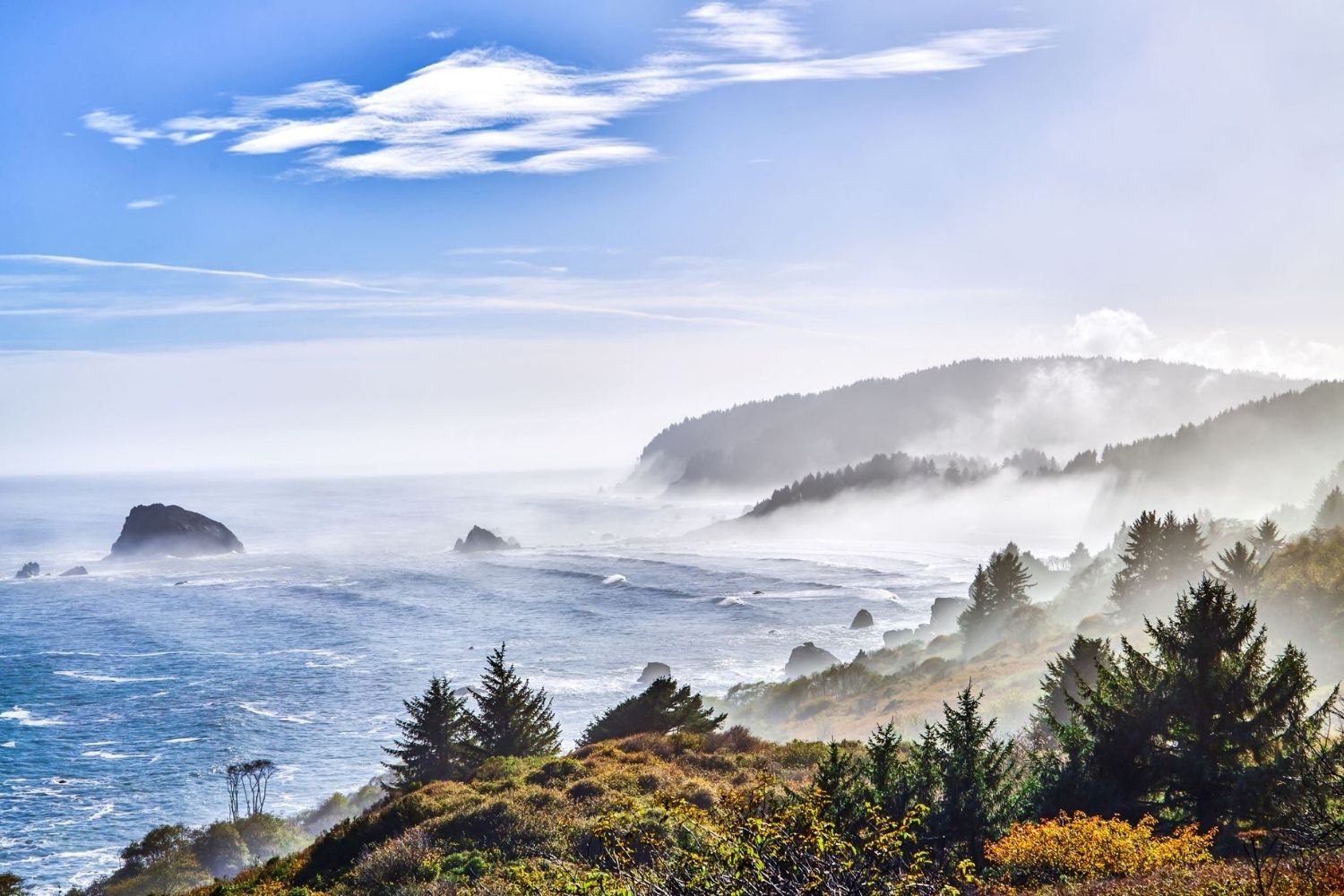Secrets-Of-California8217s-Redwood-Coast secrets-of-californias-redwood-coast