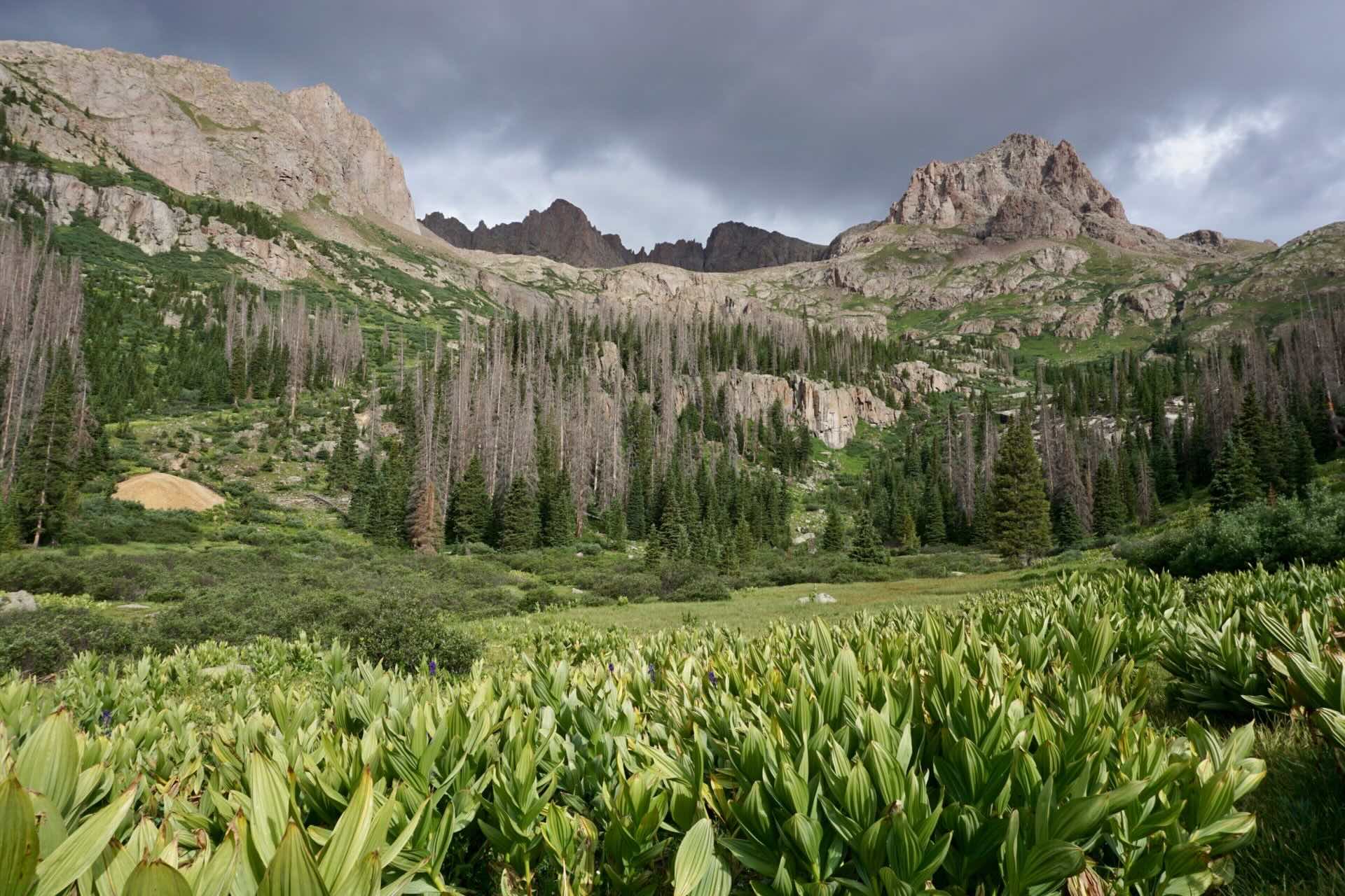 Secrets-Of-Colorado8217s-Chicago-Basin secrets-of-colorados-chicago-basin