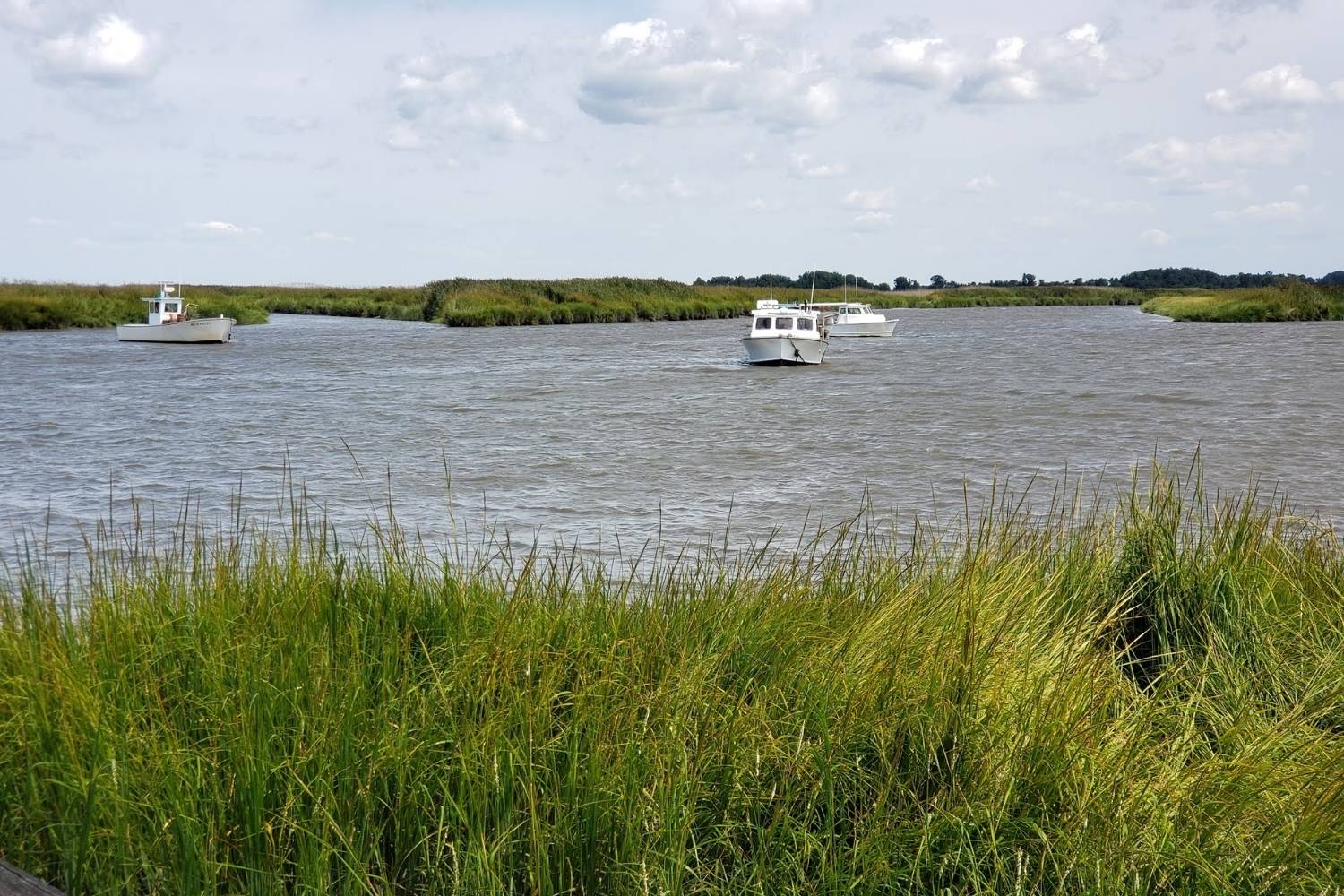 secrets-of-delawares-cedar-creek