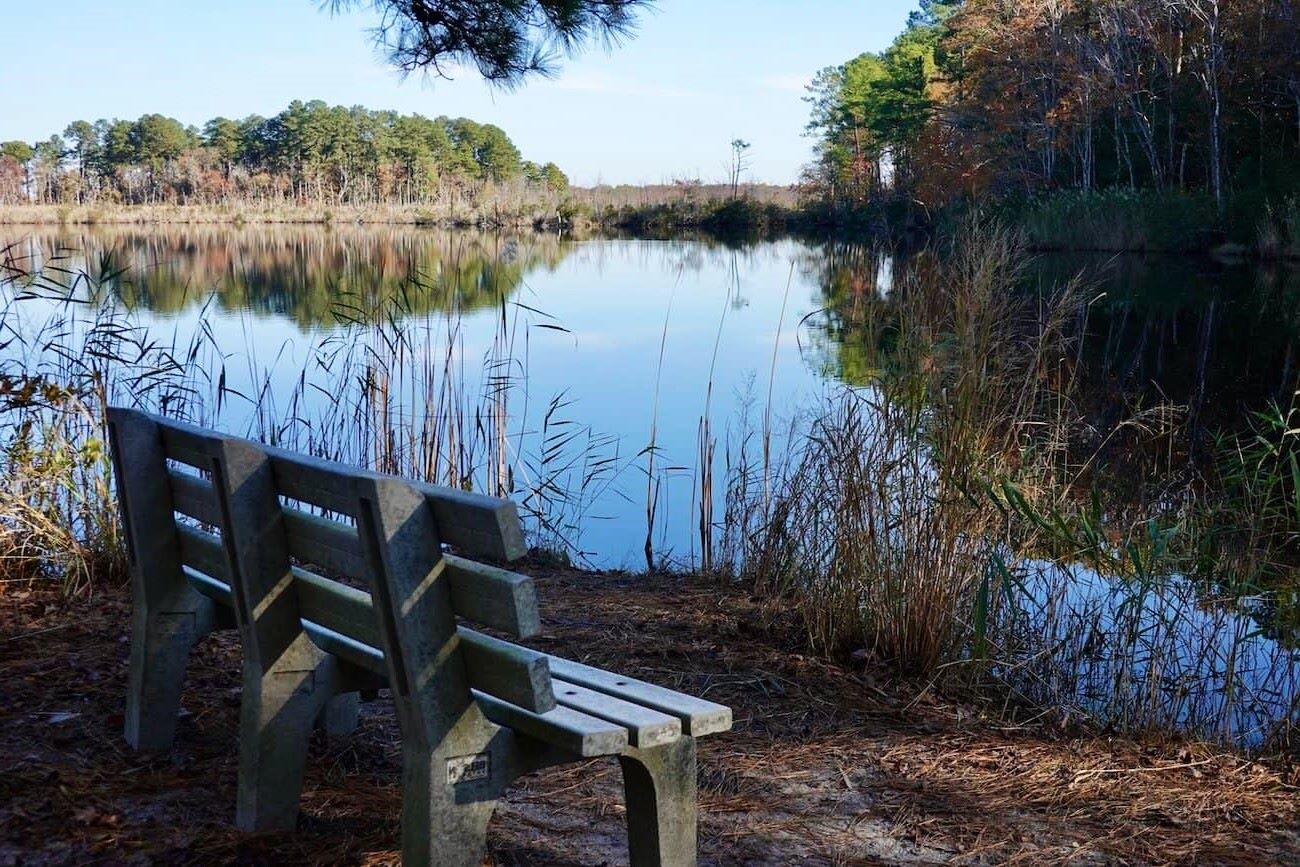 secrets-of-delawares-primehook-lakes