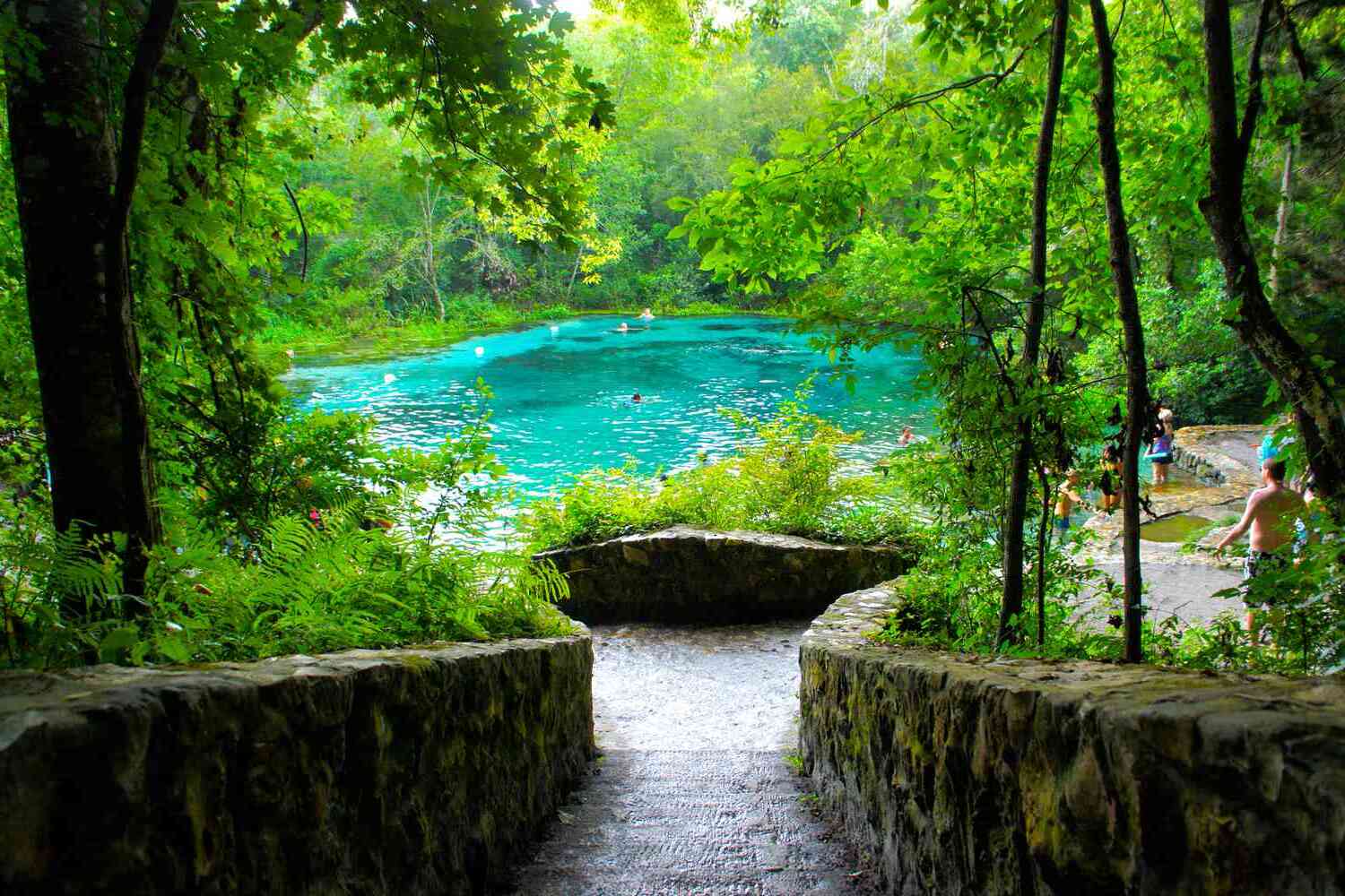 Secrets-Of-Florida8217s-Ichetucknee-Springs secrets-of-floridas-ichetucknee-springs