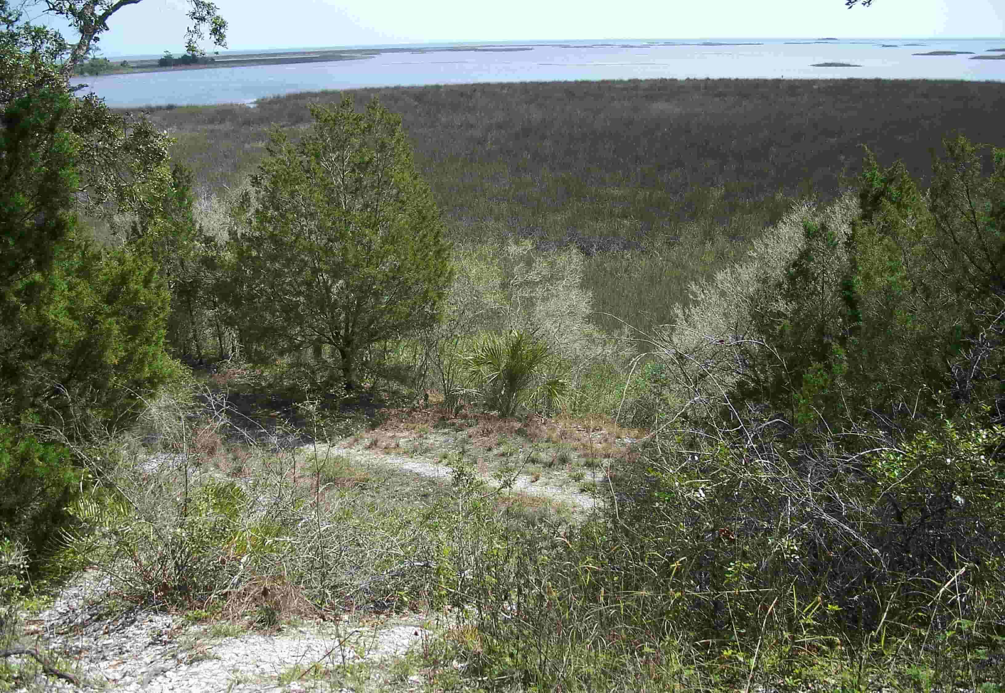 secrets-of-floridas-shell-mound-trail