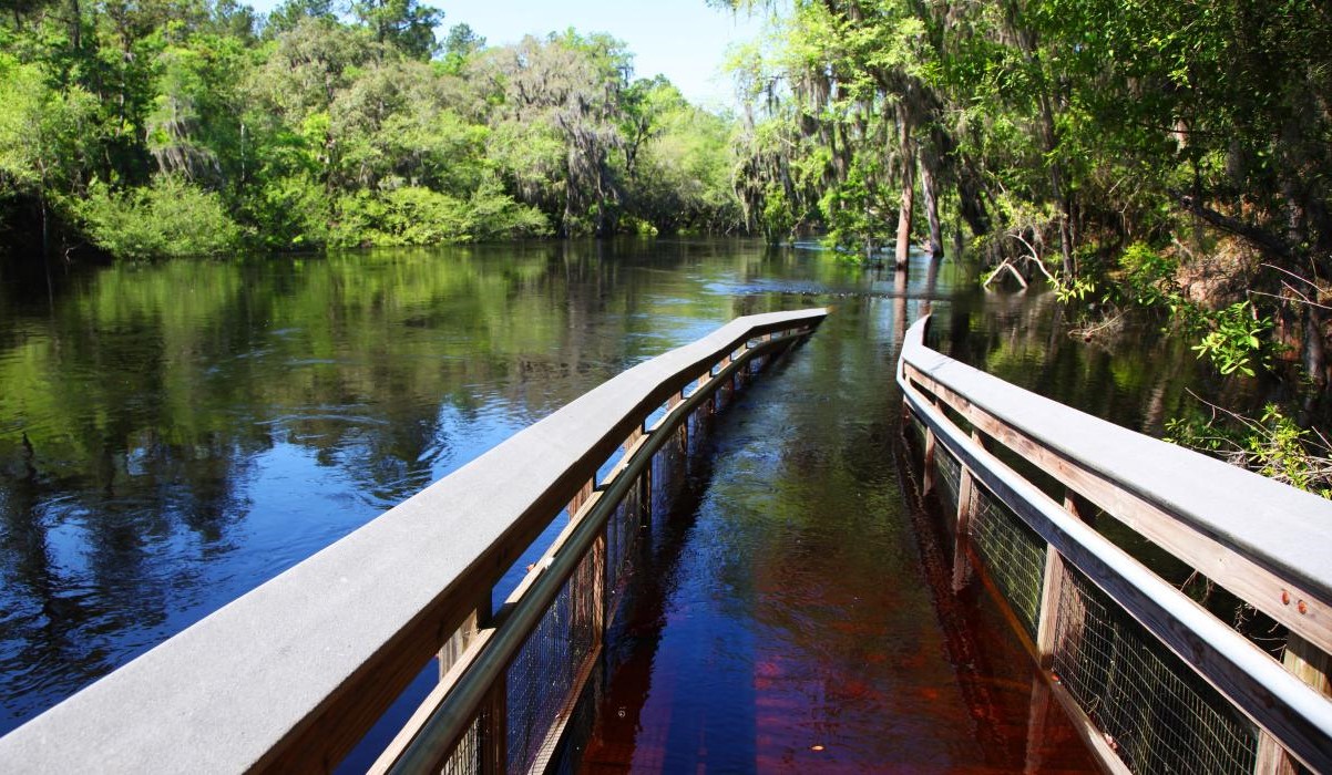 secrets-of-floridas-suwannee-river