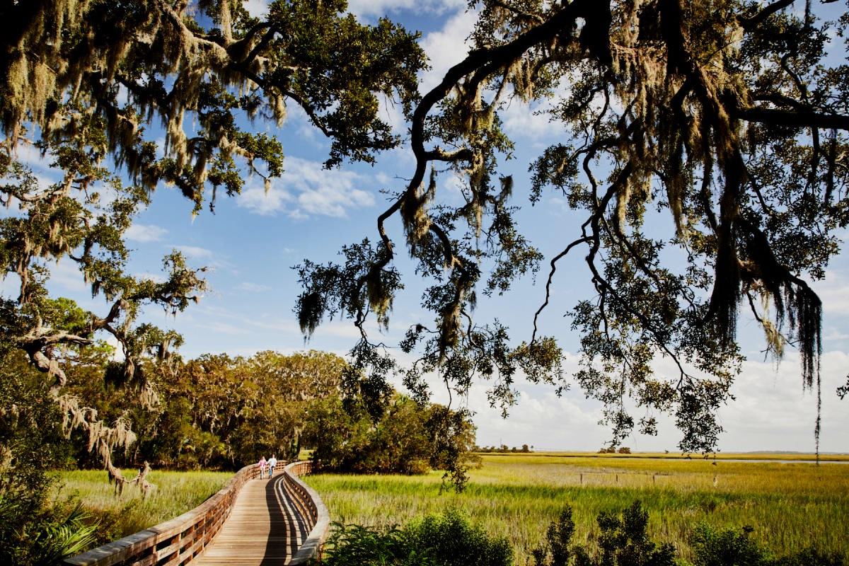 Secrets-Of-Georgia8217s-Jekyll-Island-Trails secrets-of-georgias-jekyll-island-trails