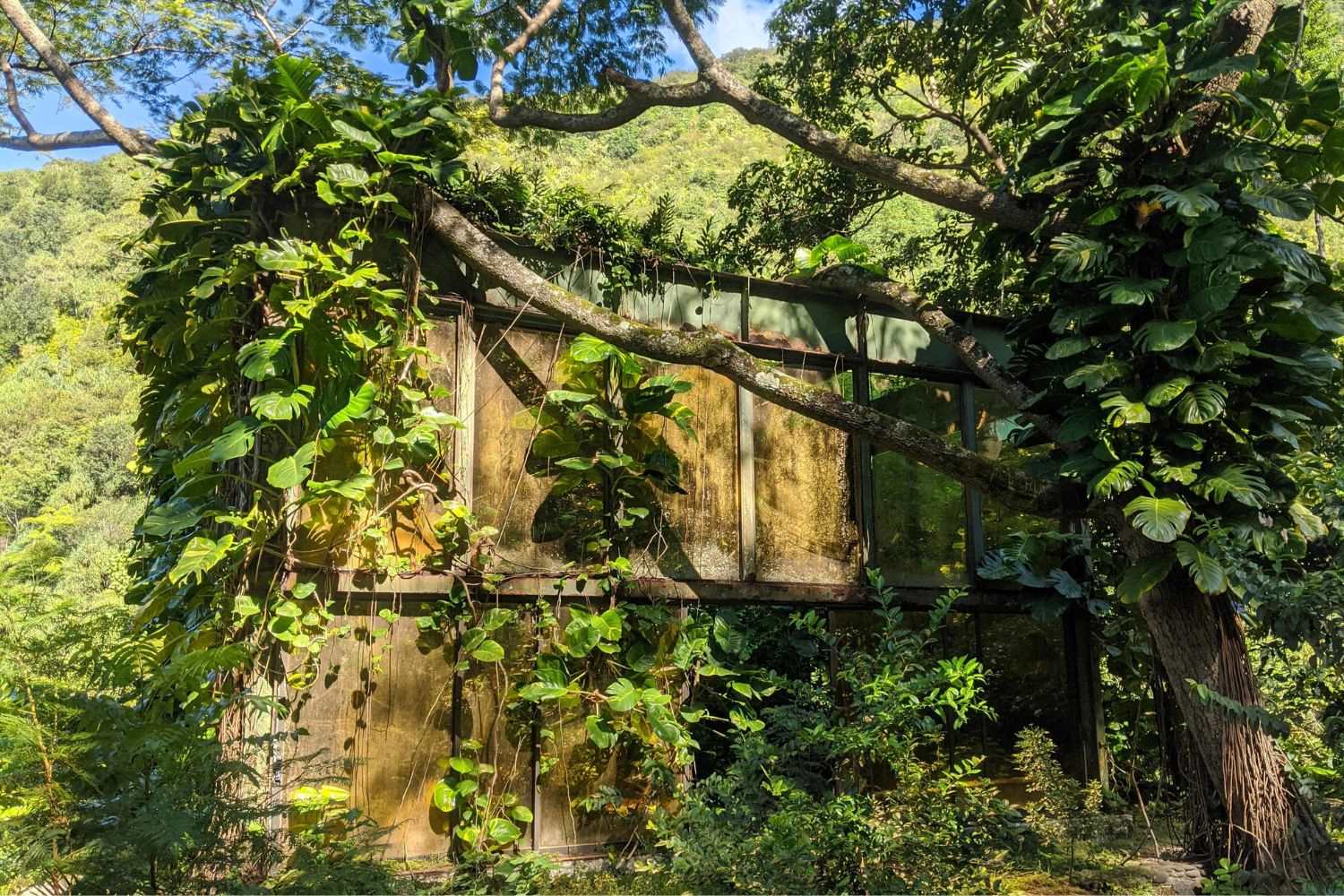 Secrets-Of-Hawaii8217s-Waipio-Ghost-Towns secrets-of-hawaiis-waipio-ghost-towns