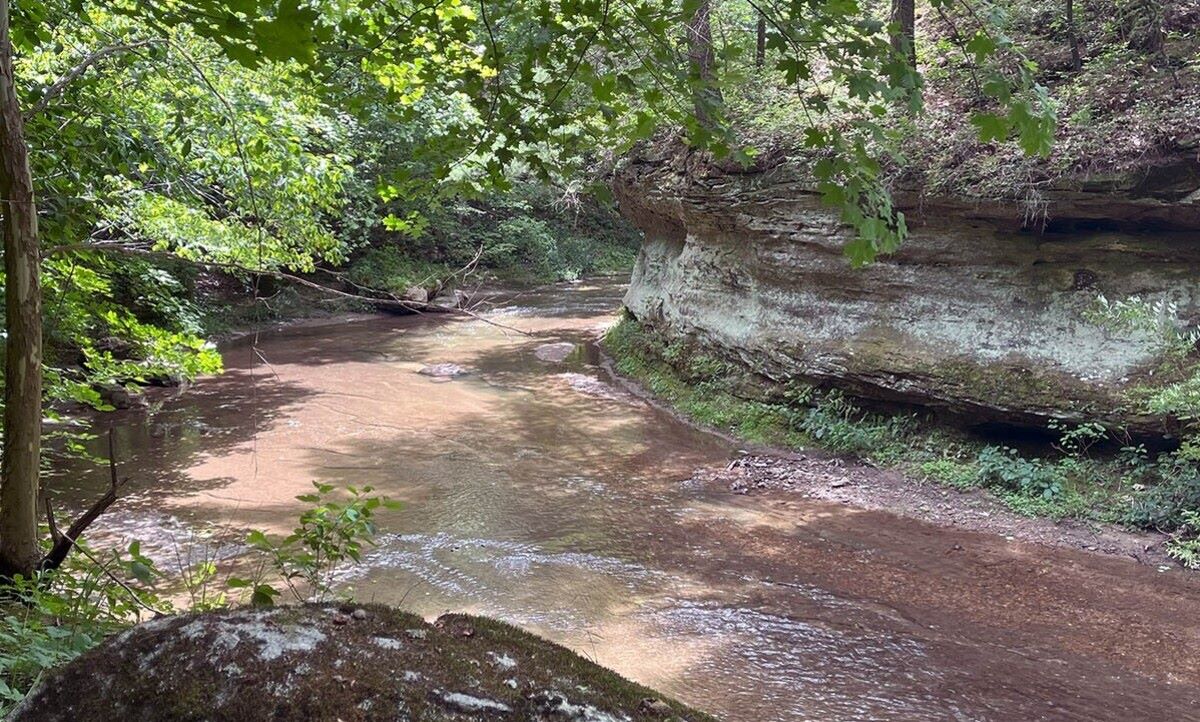 Secrets-Of-Indiana8217s-Fall-Creek-Gorge secrets-of-indianas-fall-creek-gorge
