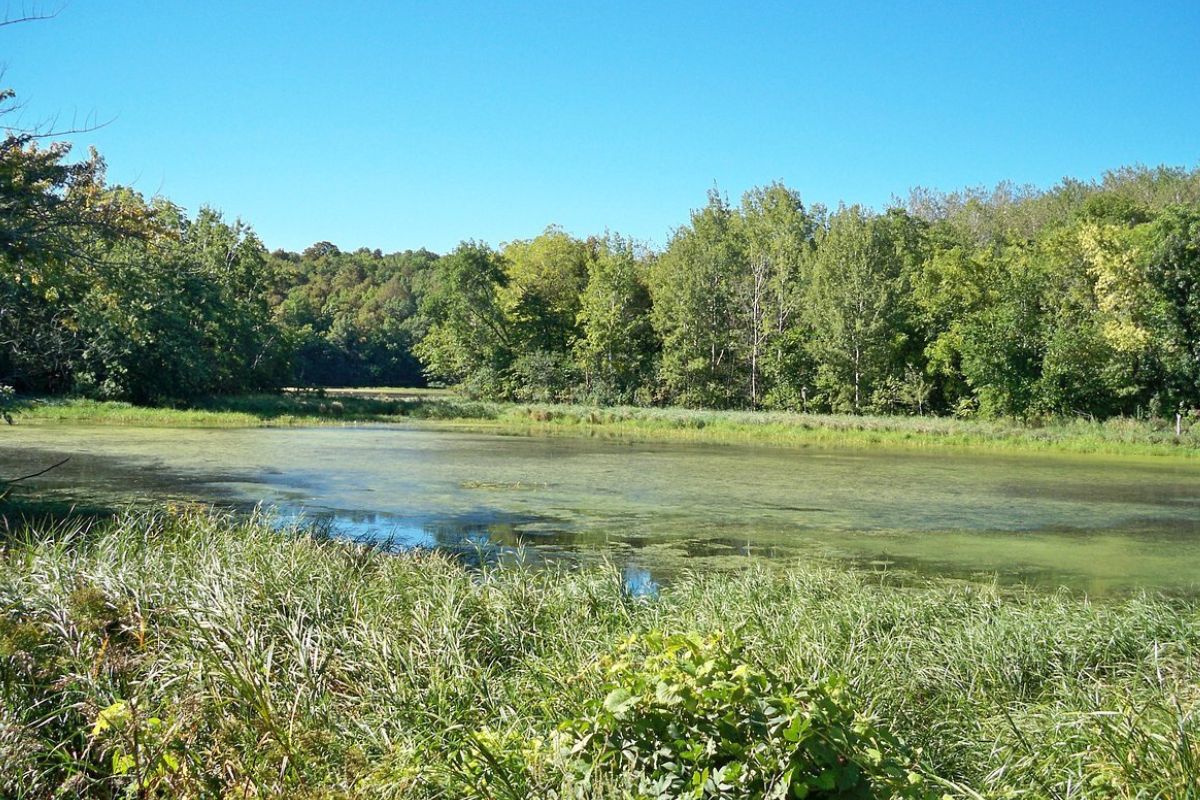 Secrets-Of-Iowa8217s-Pilot-Knob-State-Park-Glacial-Lake-And-Tower secrets-of-iowas-pilot-knob-state-park-glacial-lake-and-tower