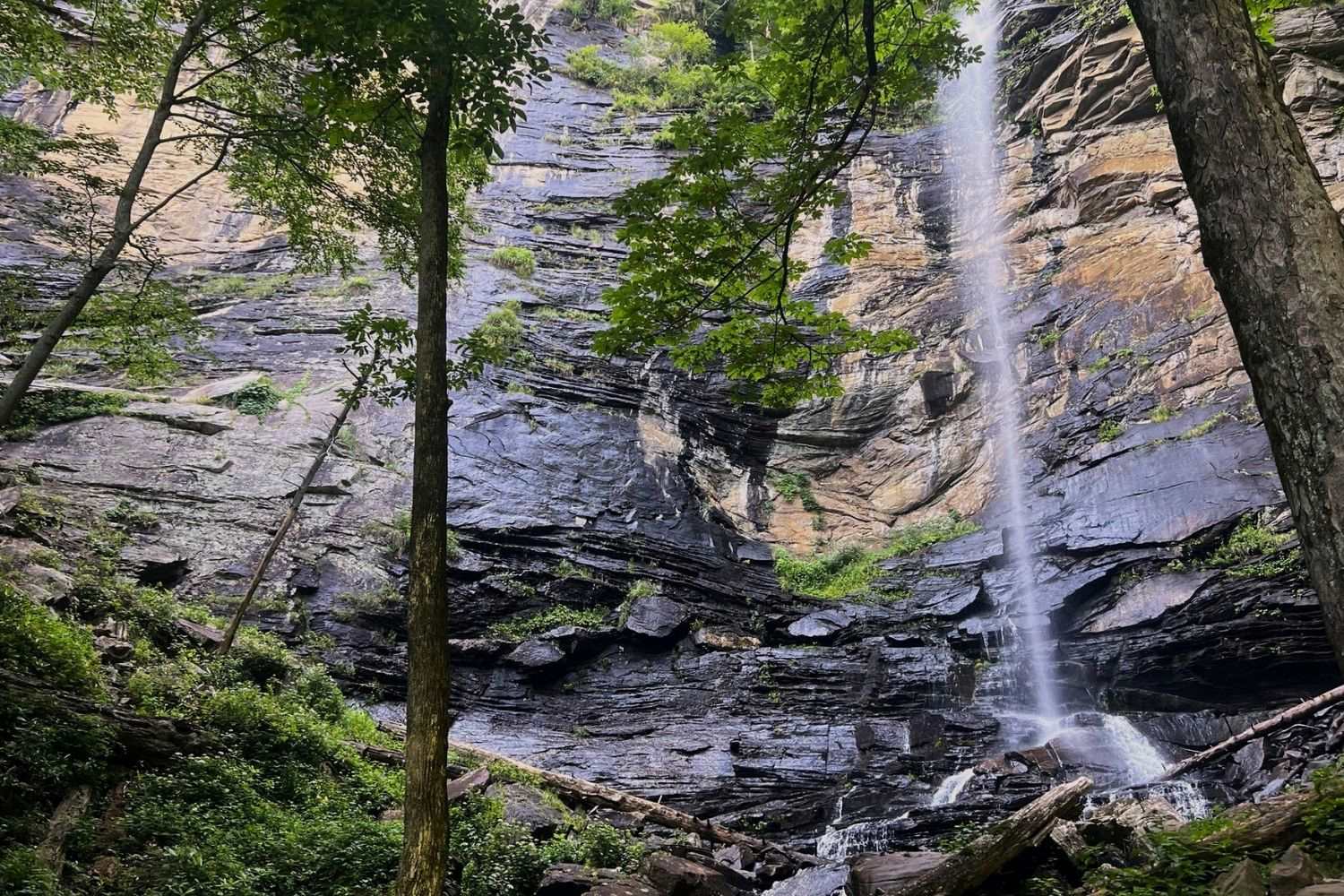 Secrets-Of-Jones-Gap-State-Park8217s-Mountain-Trout-Stream secrets-of-jones-gap-state-parks-mountain-trout-stream