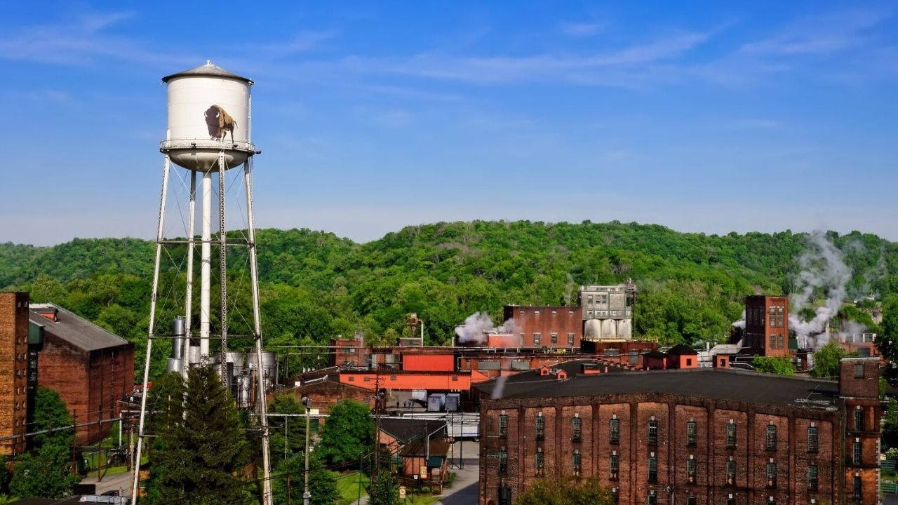 Secrets-Of-Kentucky8217s-Buffalo-Trace-Trails secrets-of-kentuckys-buffalo-trace-trails