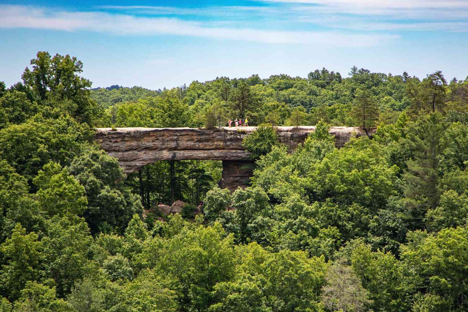 Secrets-Of-Kentucky8217s-Natural-Bridge-Springs secrets-of-kentuckys-natural-bridge-springs