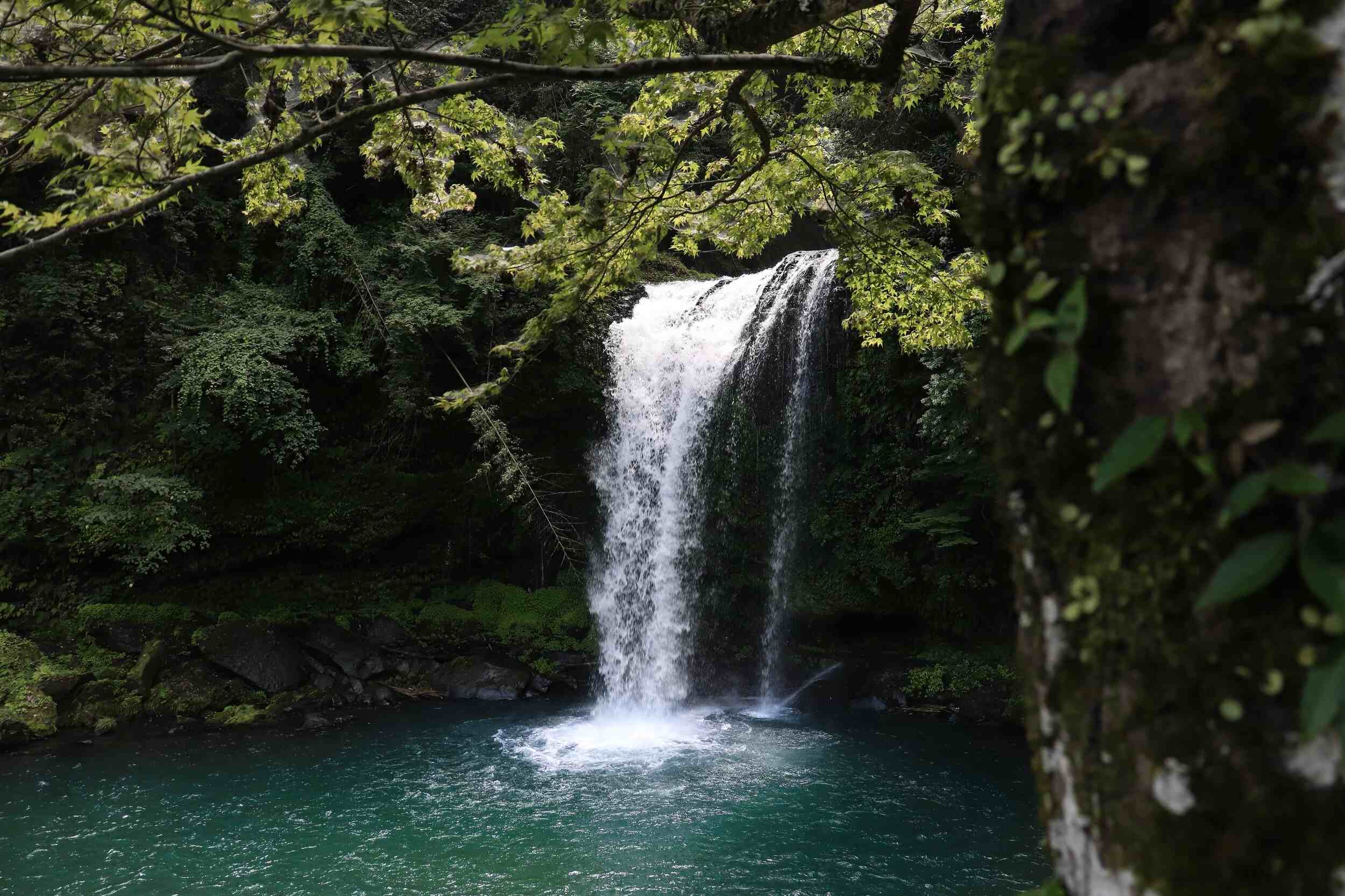 Secrets-Of-Kisatchie-National-Forest-Waterfalls-And-Sandstone-Wonders secrets-of-kisatchie-national-forest-waterfalls-and-sandstone-wonders