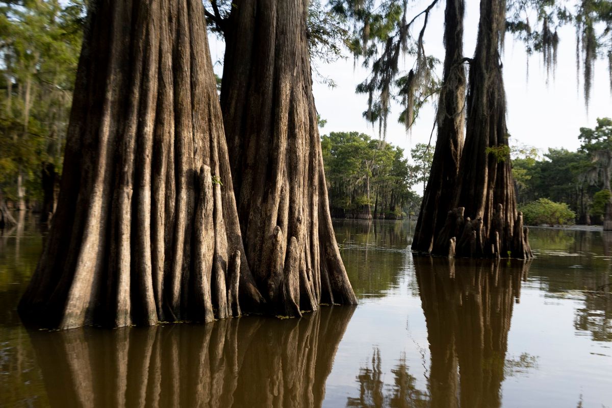 secrets-of-louisianas-henderson-swamp-lakes