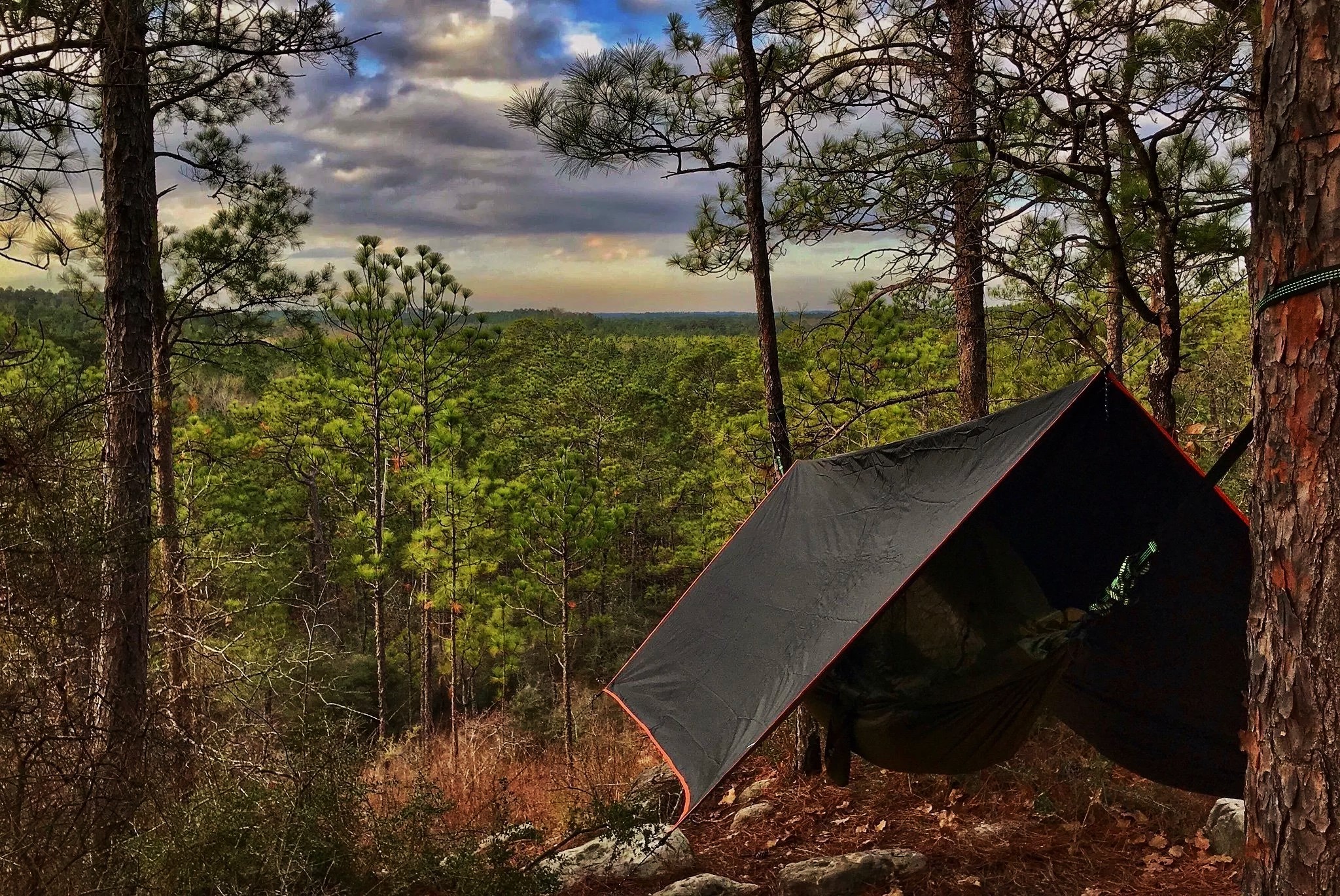 secrets-of-louisianas-kisatchie-forest