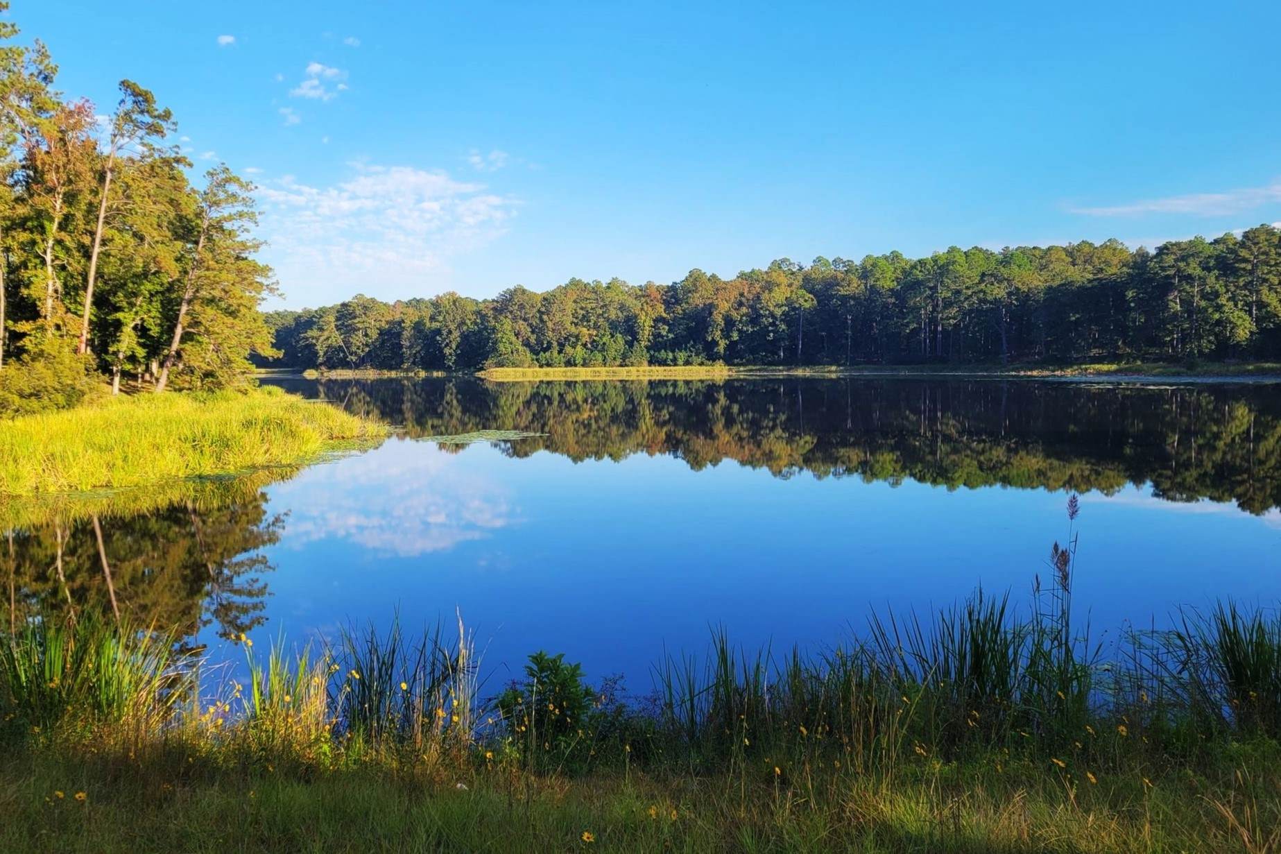 secrets-of-louisianas-kisatchie-lakes