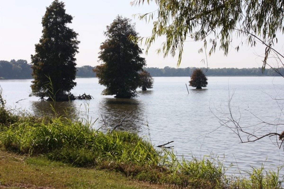 Secrets-Of-Louisiana8217s-Spanish-Lake-Mines secrets-of-louisianas-spanish-lake-mines