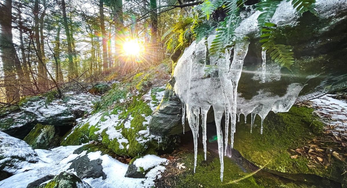 Secrets-Of-Massachusetts8217-Ice-Glen-Paths secrets-of-massachusetts-ice-glen-paths