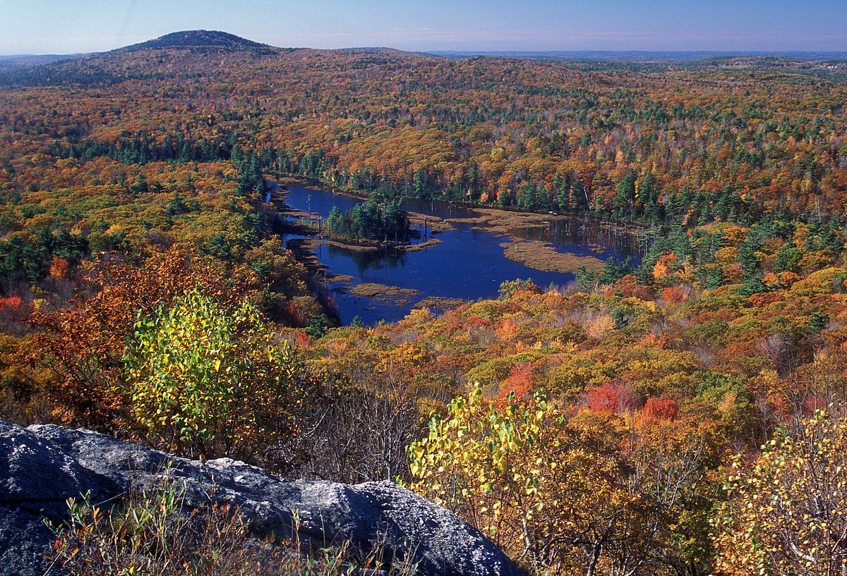 secrets-of-massachusetts-mount-grace-trails