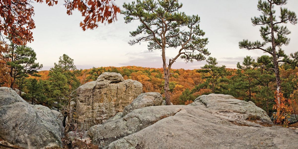 Secrets-Of-Missouri8217s-Pickle-Springs secrets-of-missouris-pickle-springs