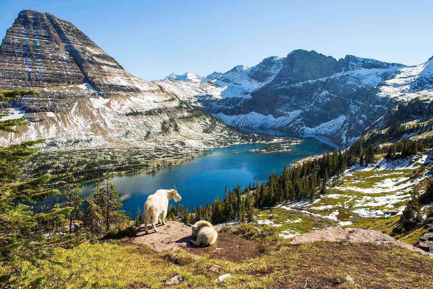Secrets-Of-Montana8217s-Whitefish-Range secrets-of-montanas-whitefish-range