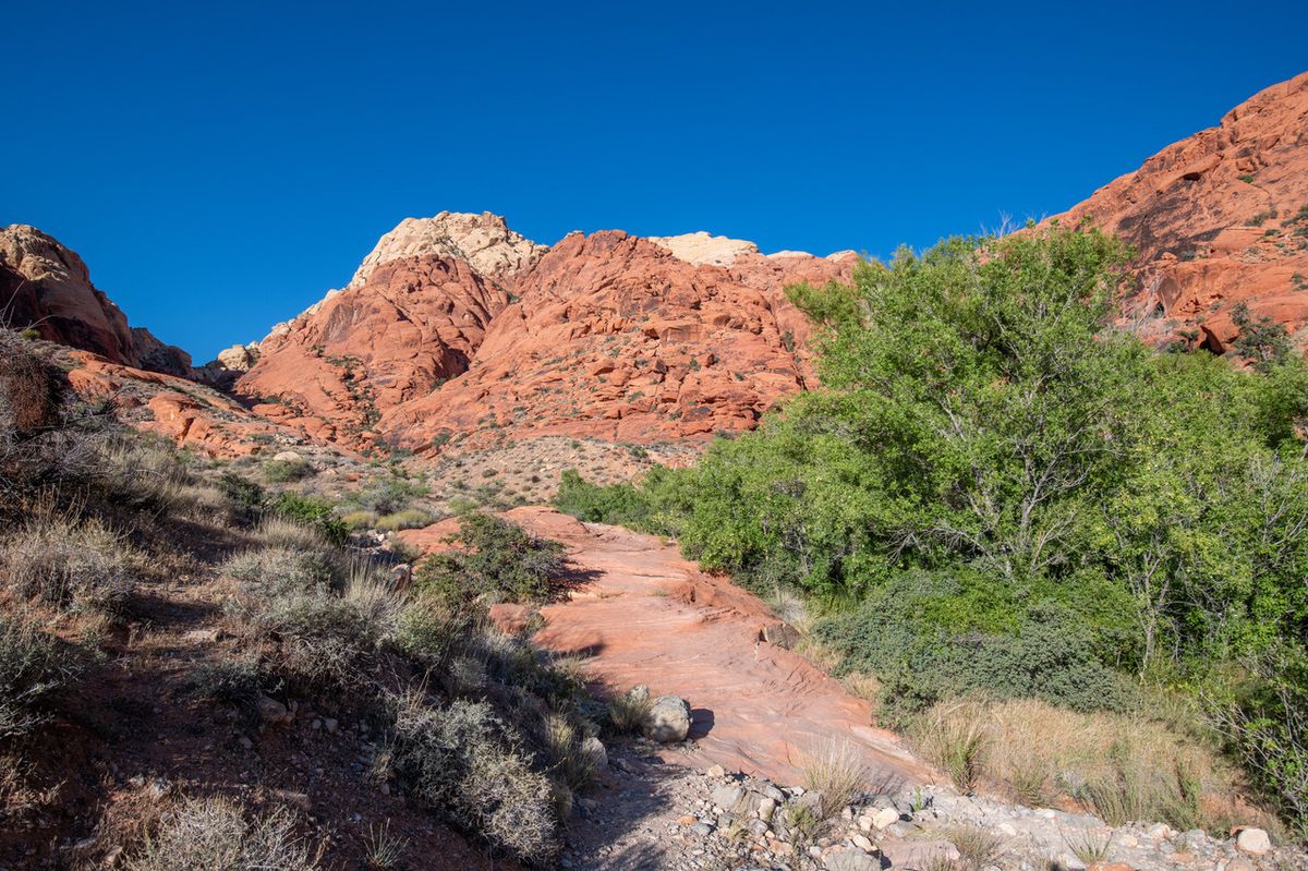 secrets-of-nevadas-hidden-spring-canyon