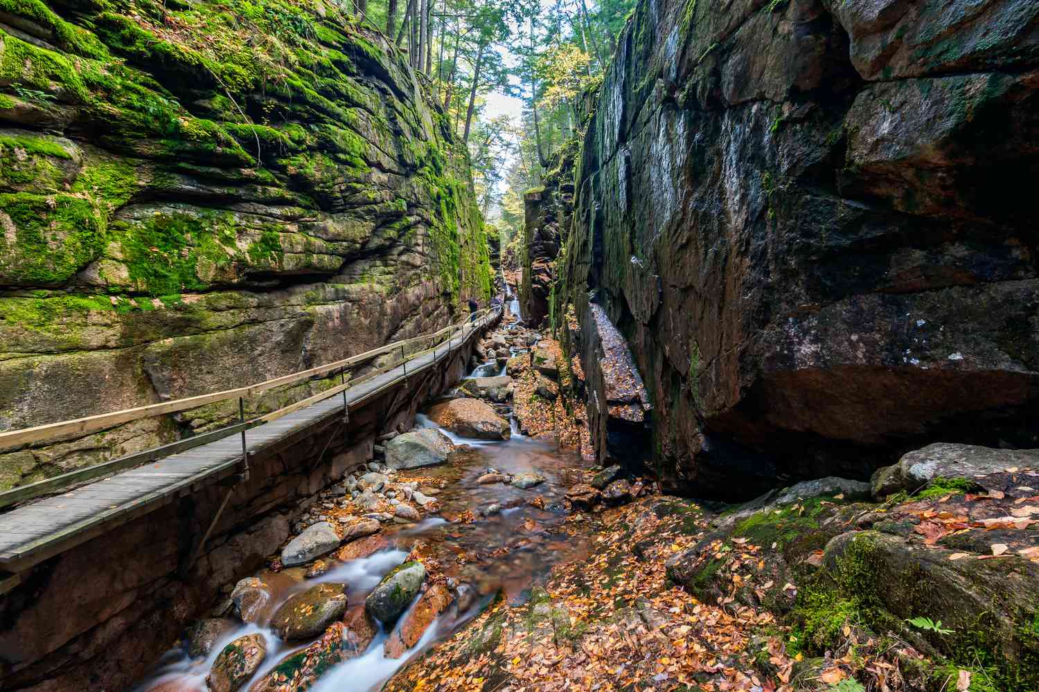 Secrets-Of-New-Hampshire8217s-Franconia-Notch secrets-of-new-hampshires-franconia-notch