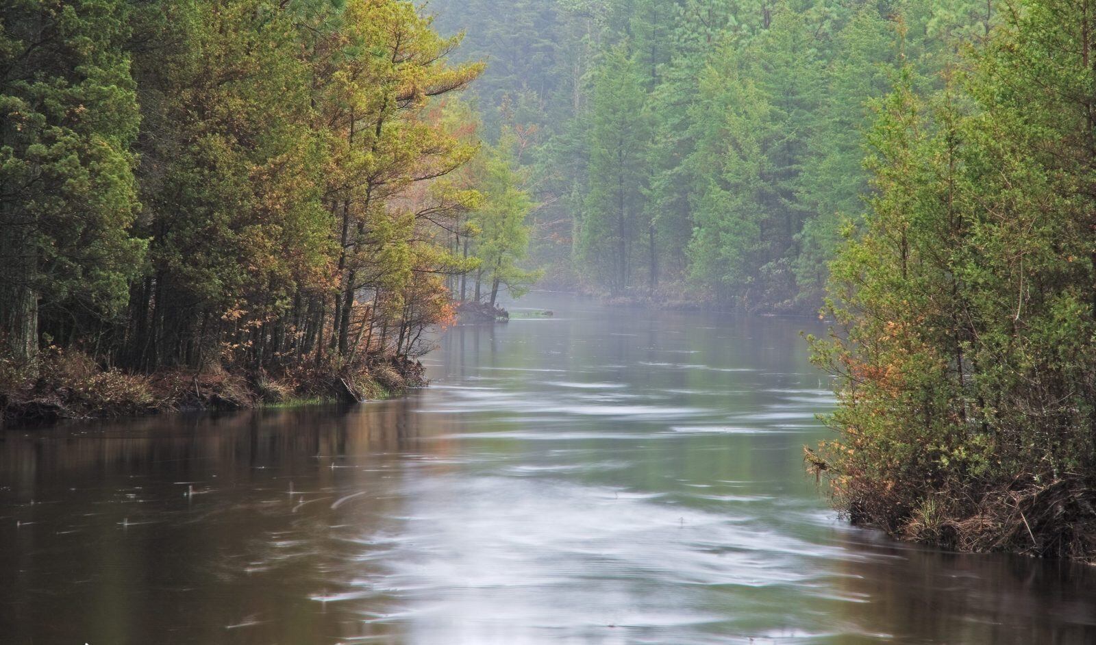 secrets-of-new-jerseys-pinelands