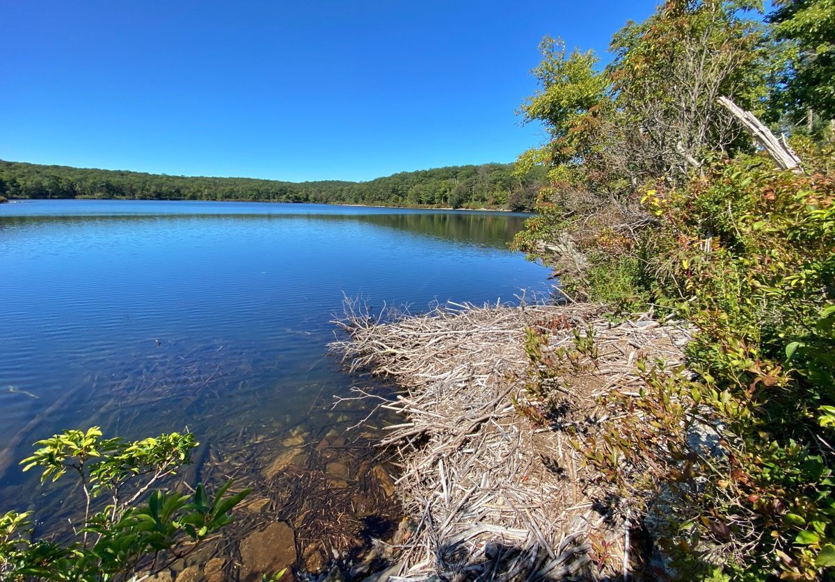 Secrets-Of-New-Jersey8217s-Sunfish-Pond secrets-of-new-jerseys-sunfish-pond