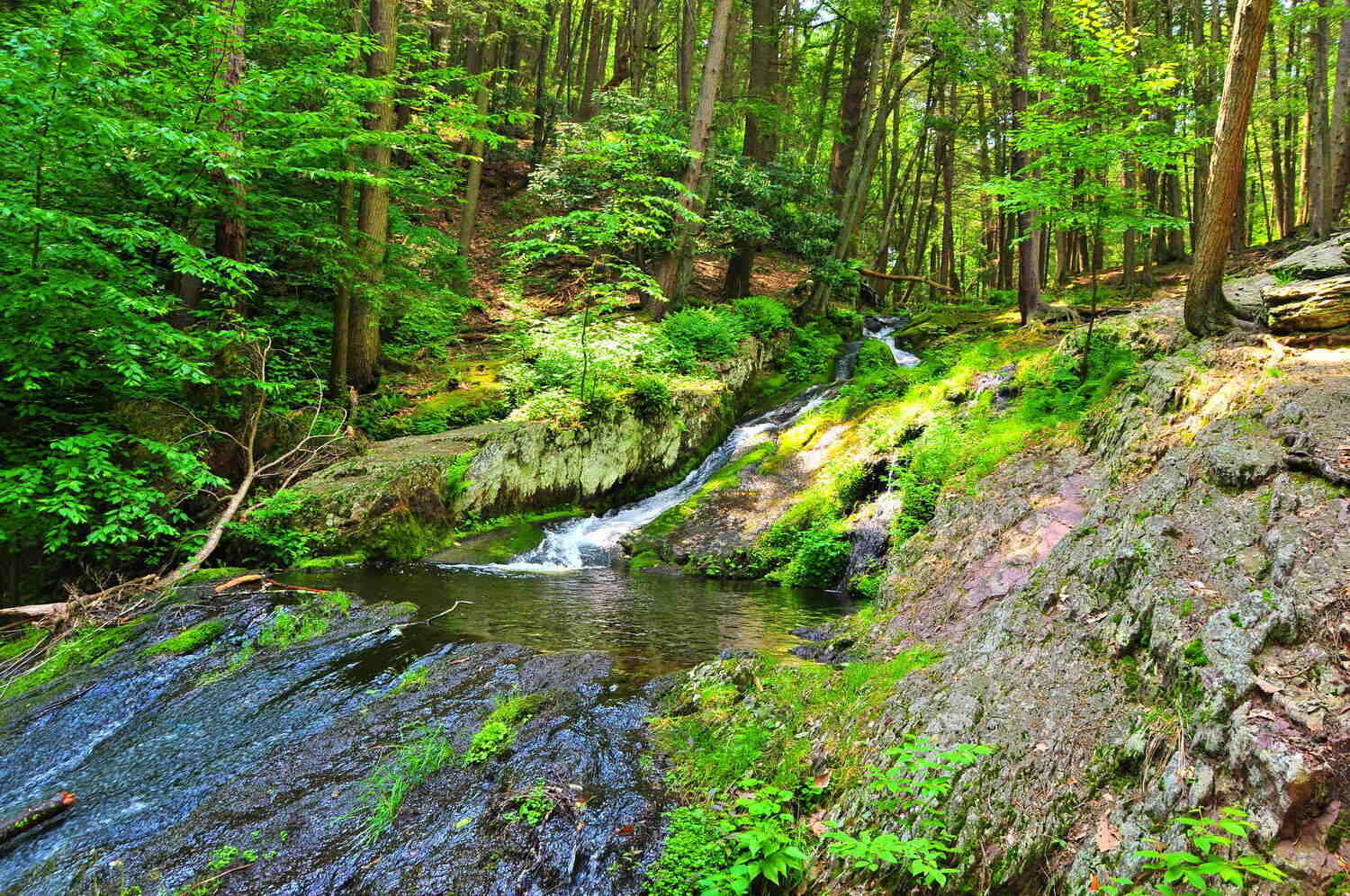 Secrets-Of-New-Jersey8217s-Tillman-Ravine-Springs secrets-of-new-jerseys-tillman-ravine-springs