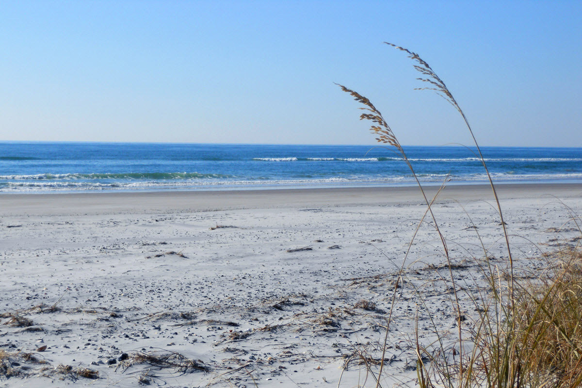 Secrets-Of-North-Carolina8217s-Bear-Island secrets-of-north-carolinas-bear-island