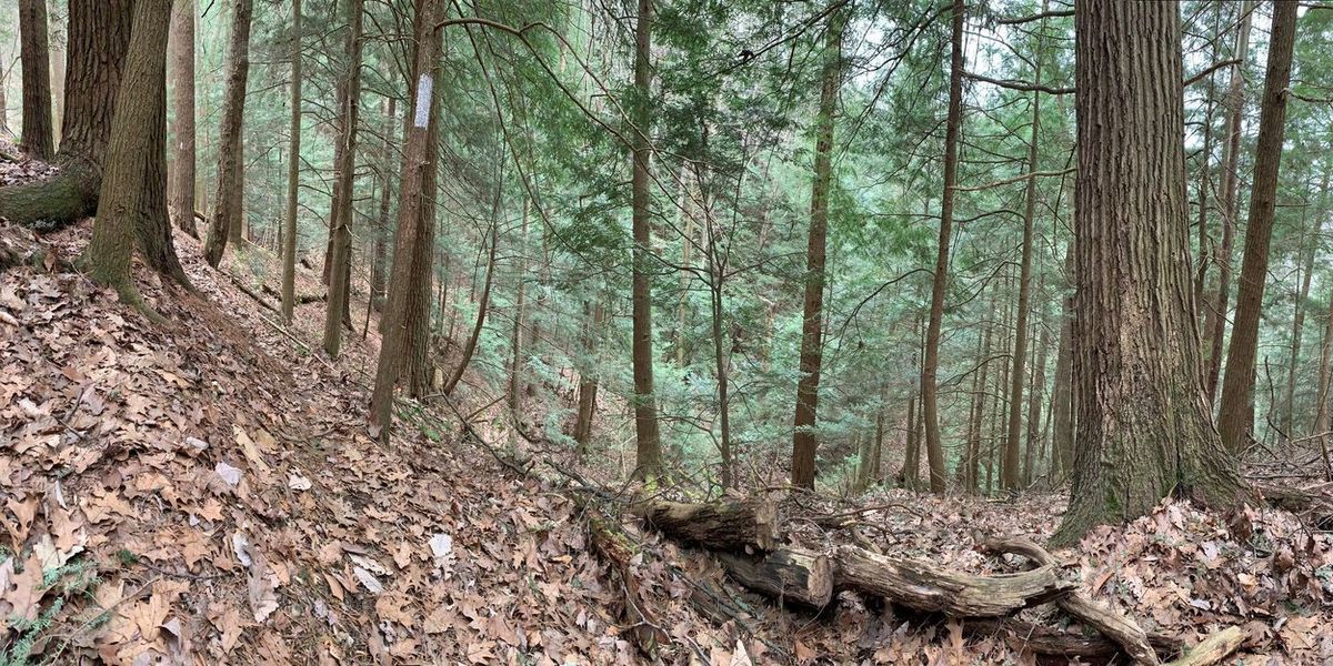 secrets-of-ohios-clear-fork-gorge