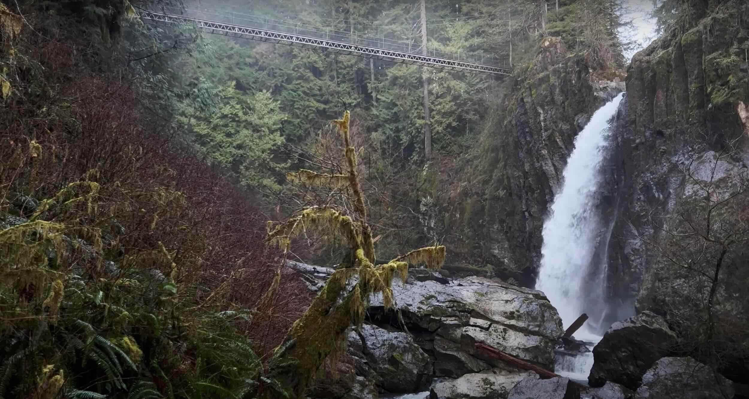 secrets-of-oregons-drift-creek-waterfalls