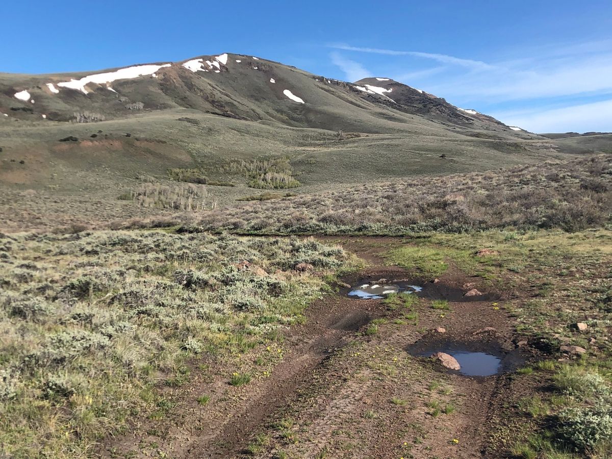 secrets-of-oregons-hart-mountain-trails