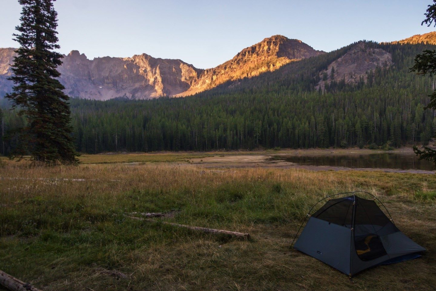 secrets-of-oregons-strawberry