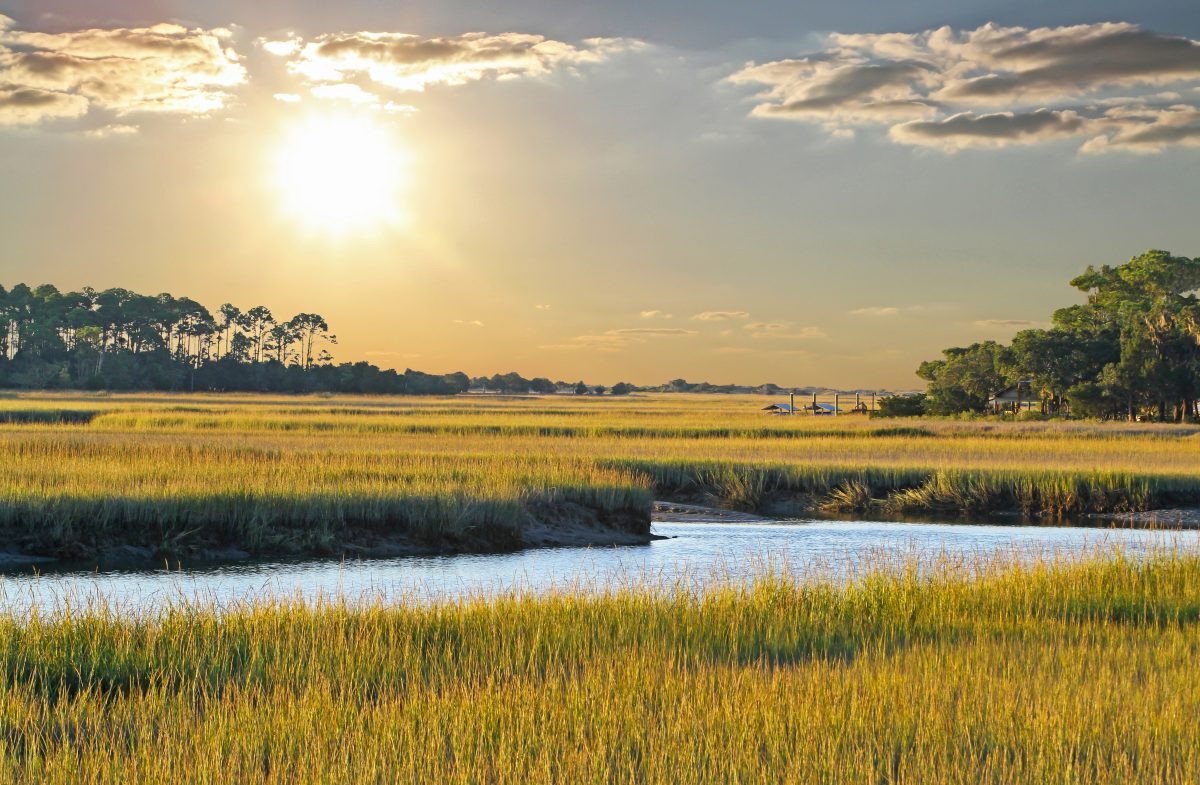 Secrets-Of-South-Carolina8217s-Low-Country secrets-of-south-carolinas-low-country