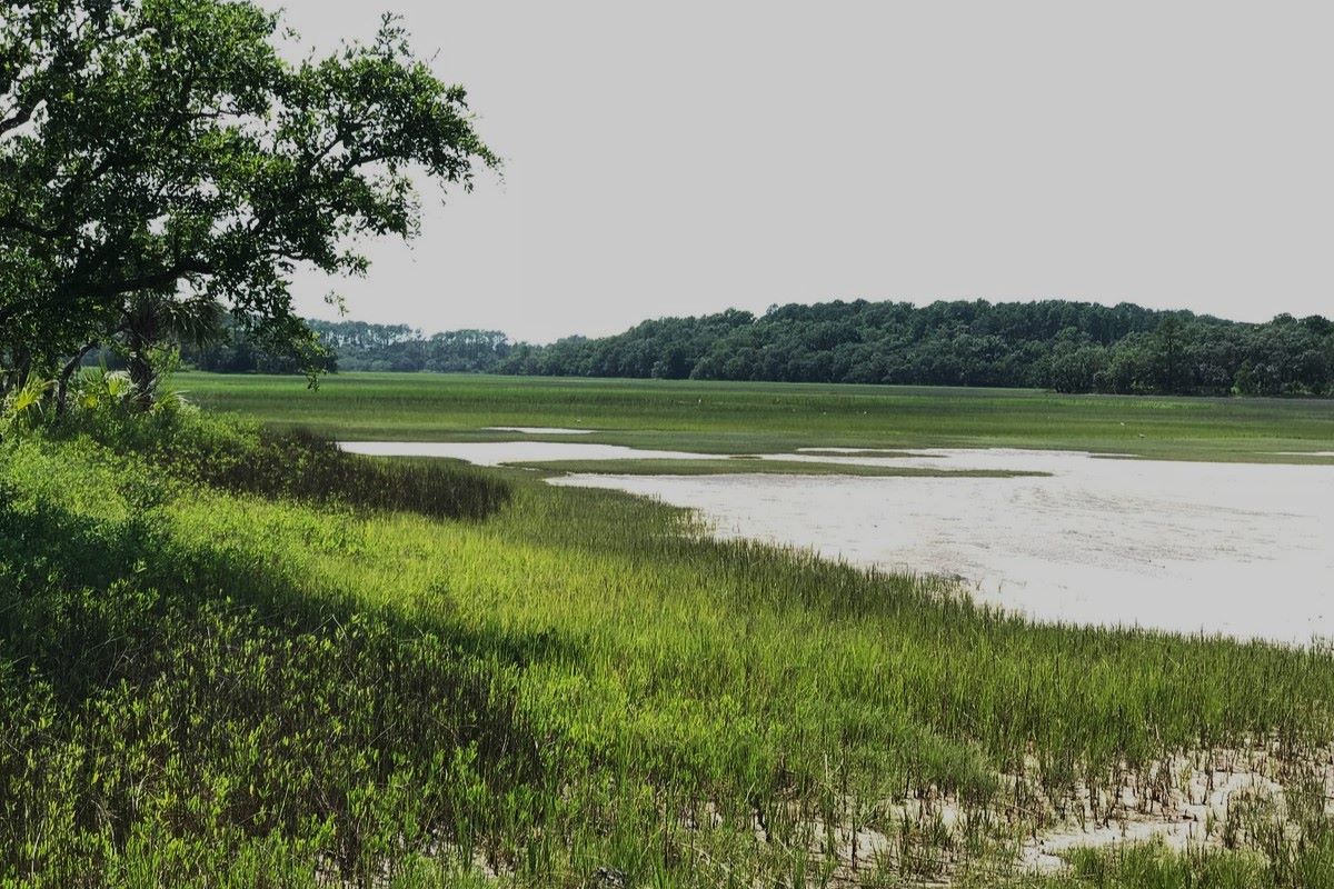 secrets-of-south-carolinas-pinkney-island-villages