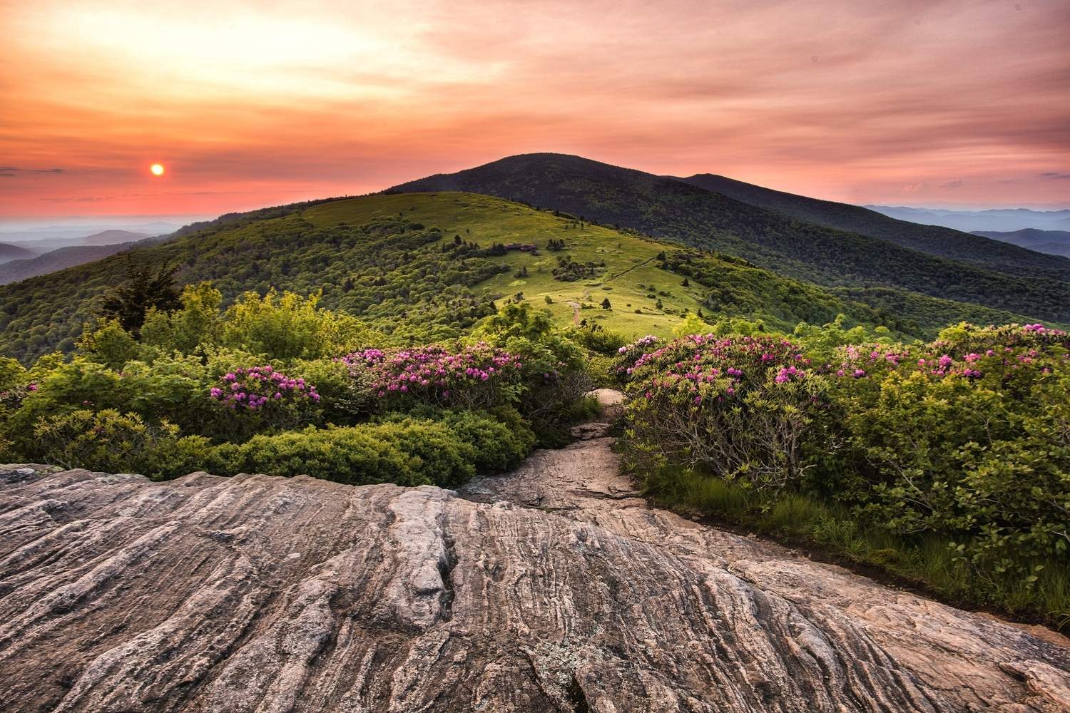 secrets-of-tennessees-roan-mountain